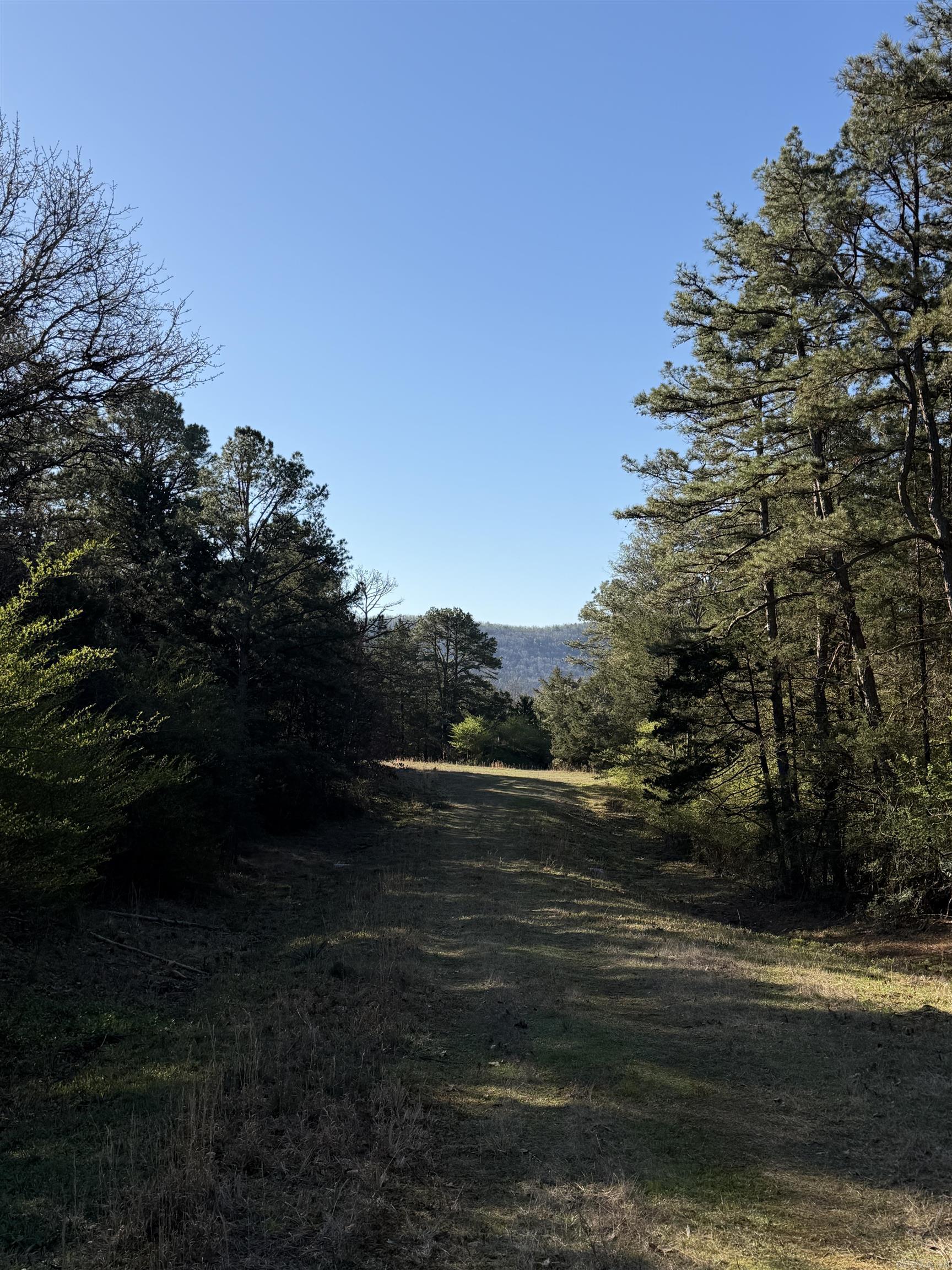 000 N Scenic  Heber Springs, AR