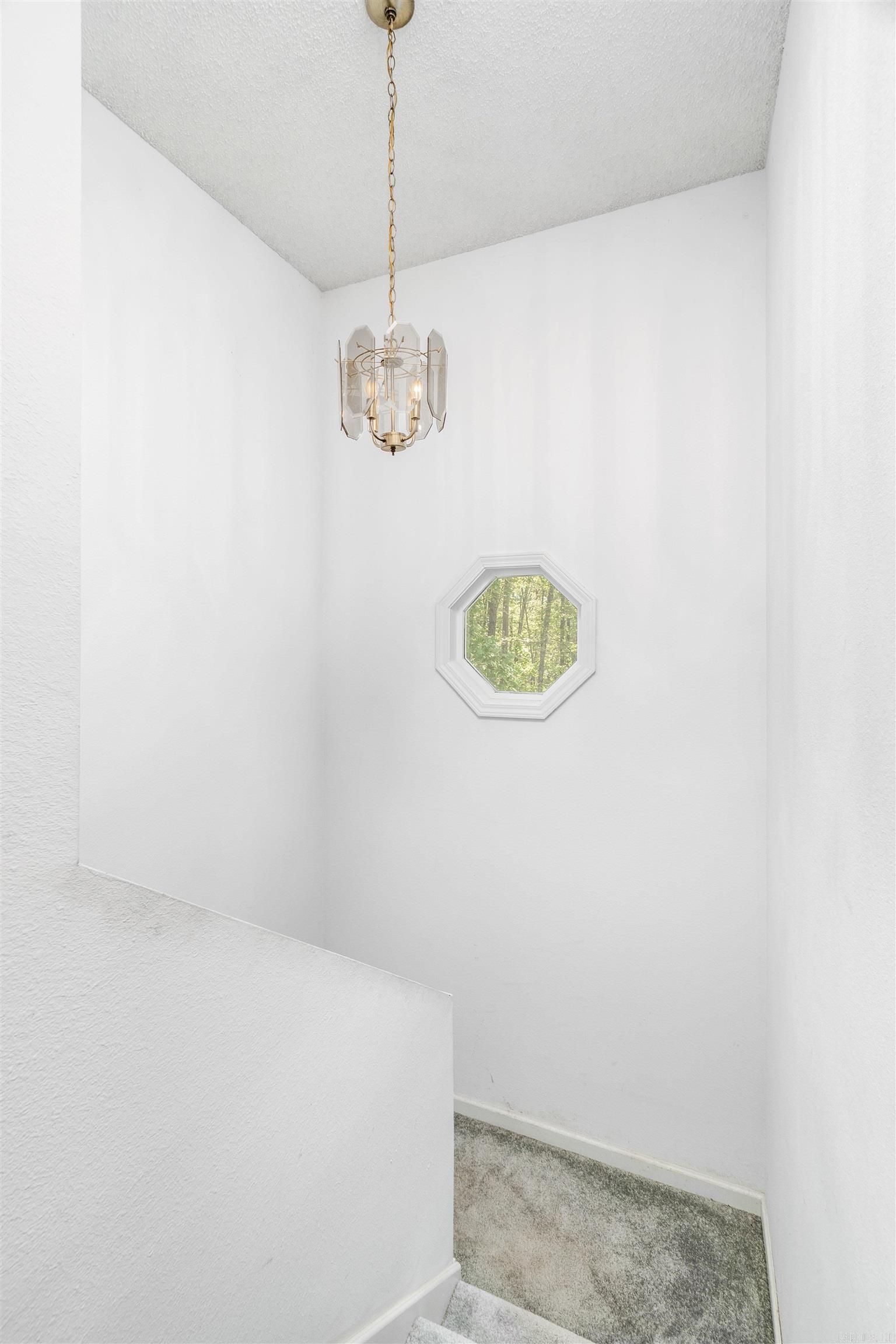 11 Campeon  Hot Springs Village, AR