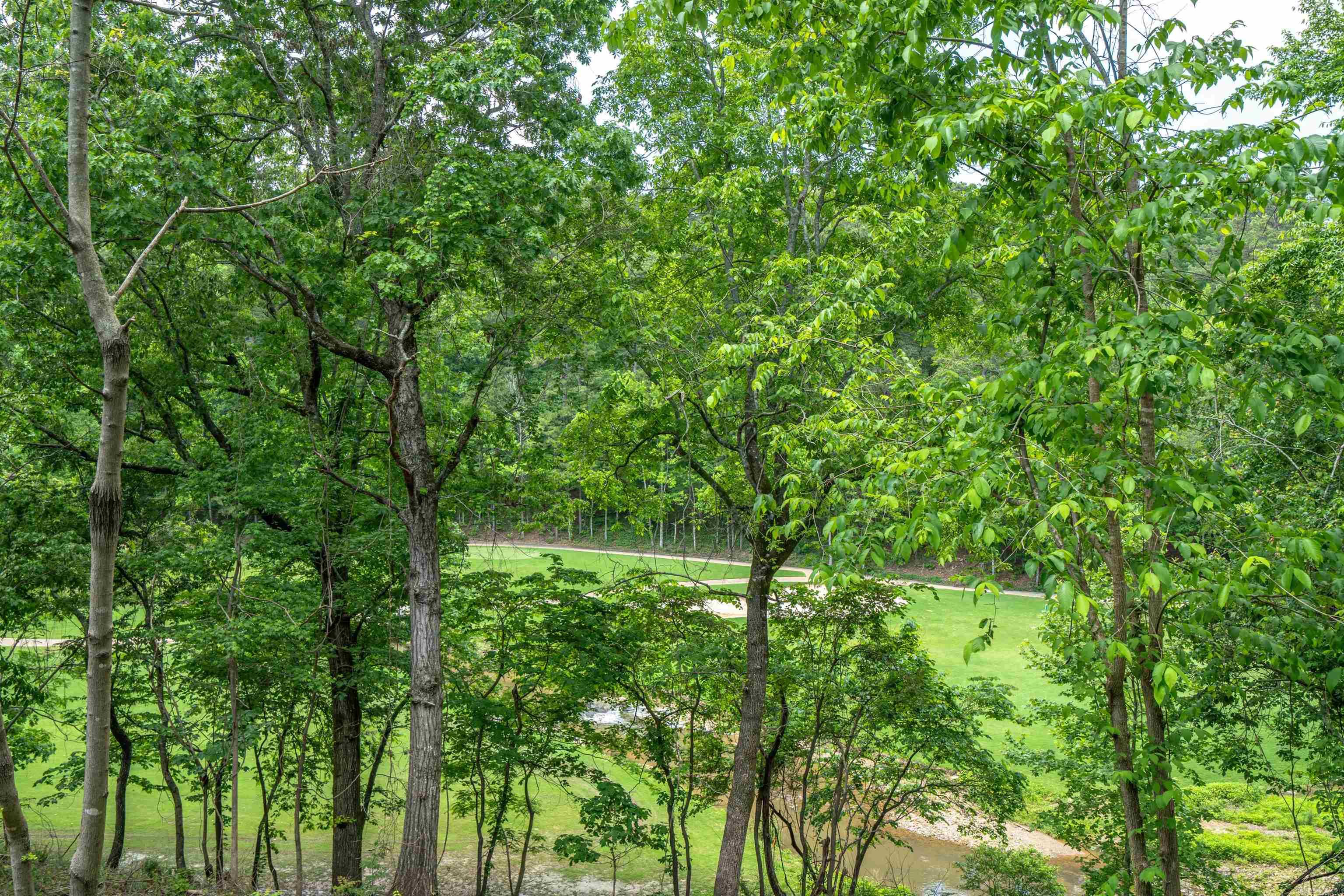 168 Cordero  Hot Springs Village, AR