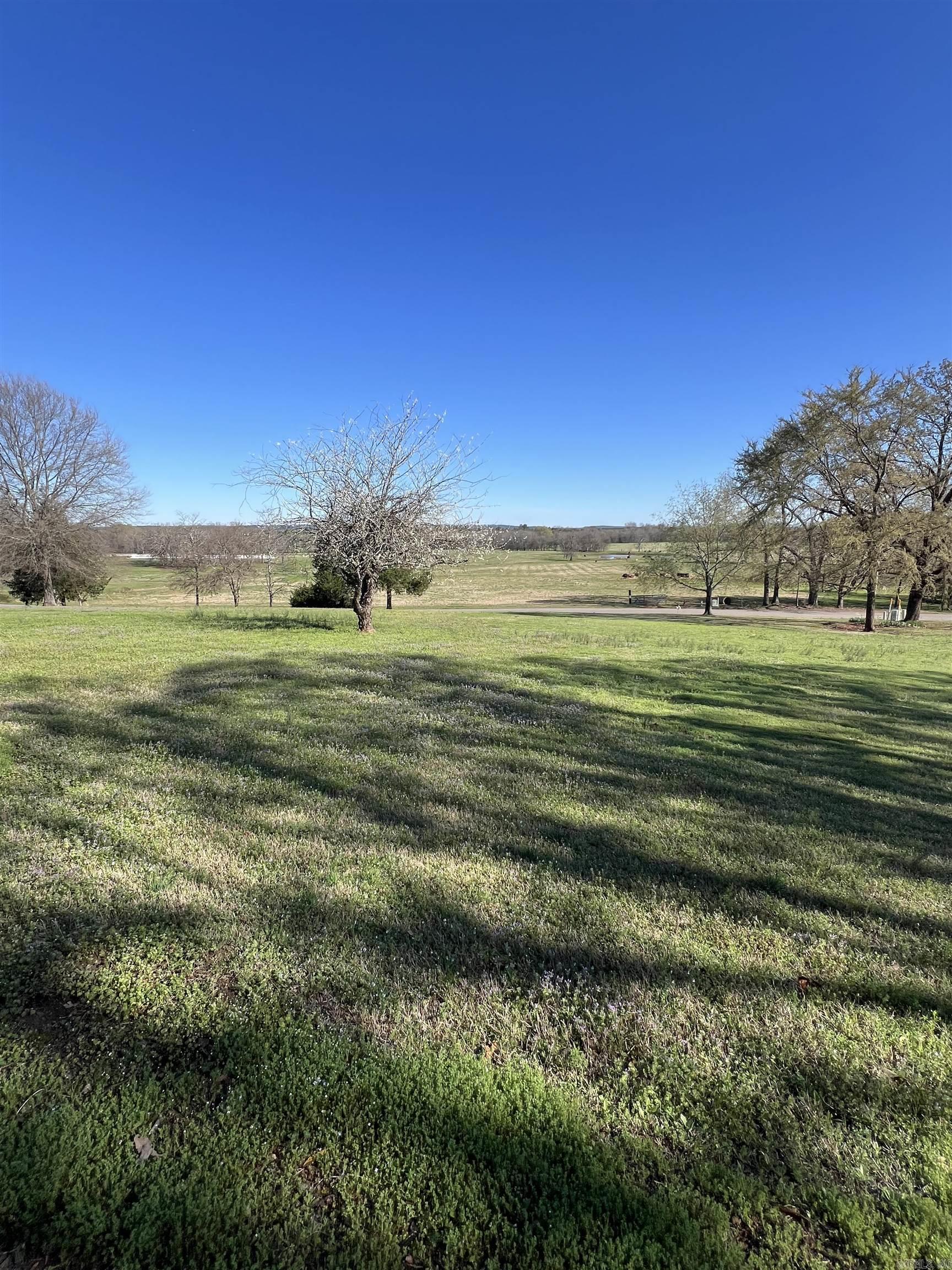 7 Rivercrest Dr Drive Bigelow, AR 72016