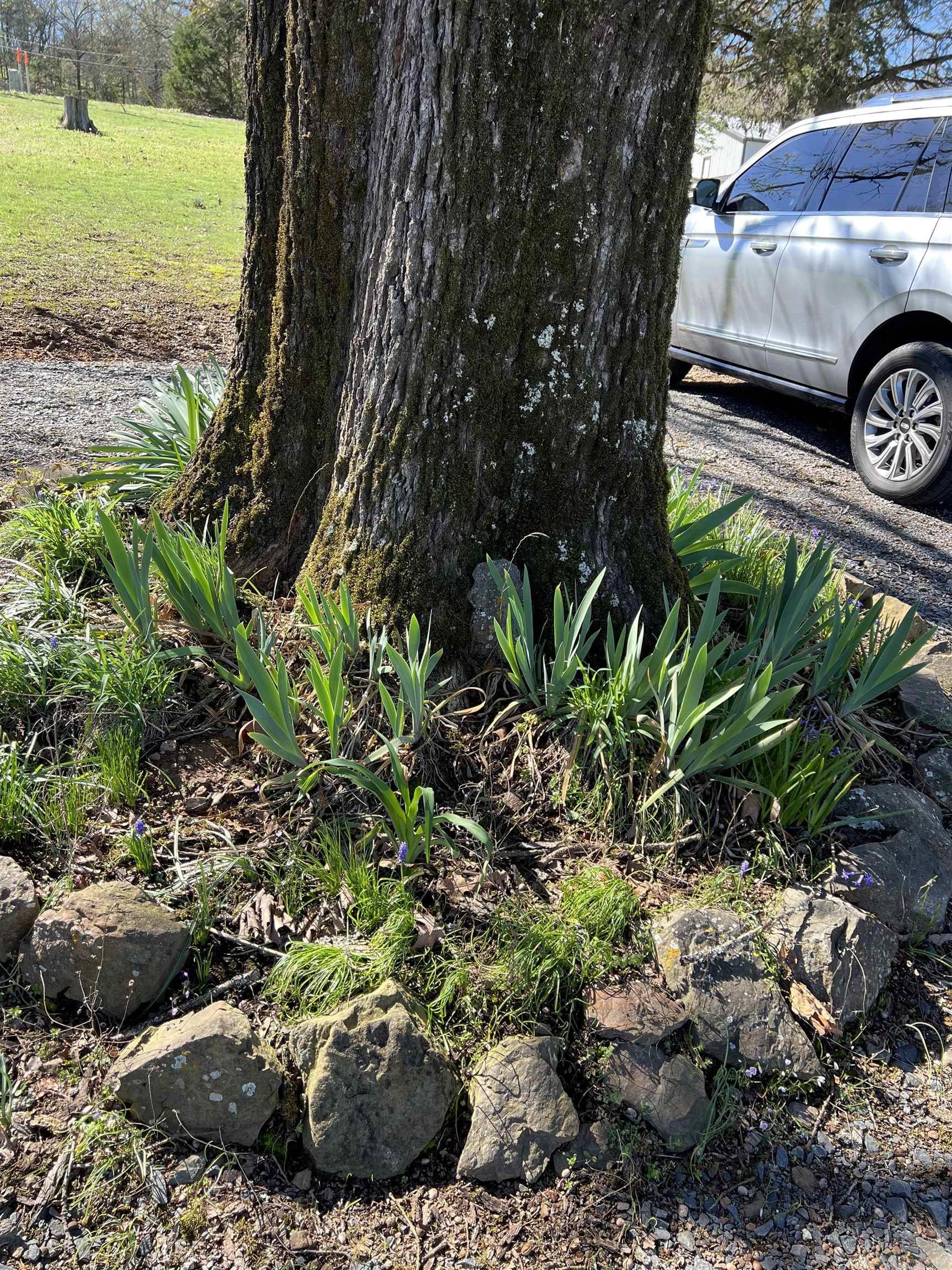 7 Rivercrest Dr Drive Bigelow, AR 72016