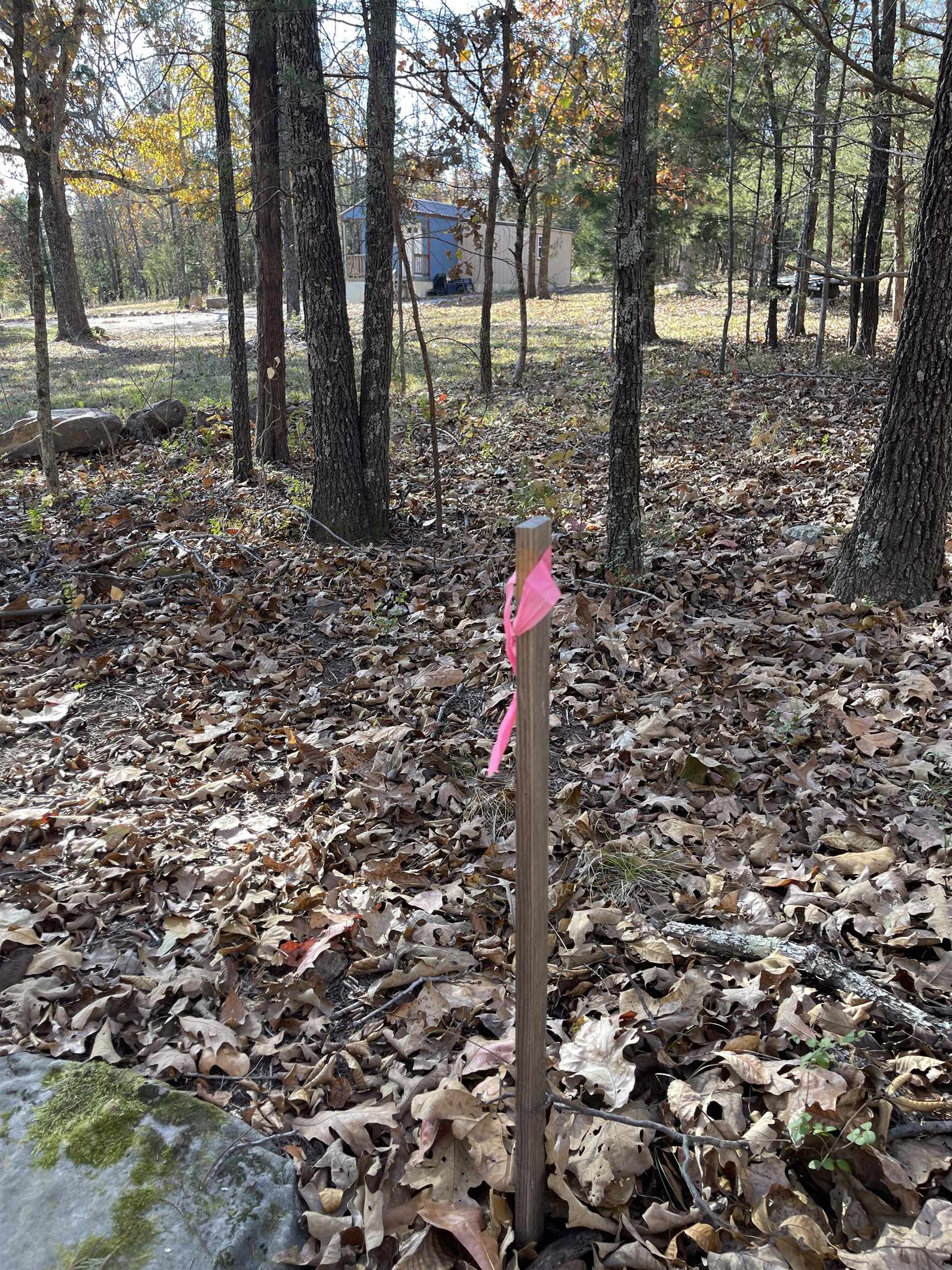 743 The Day  Ash Flat, AR