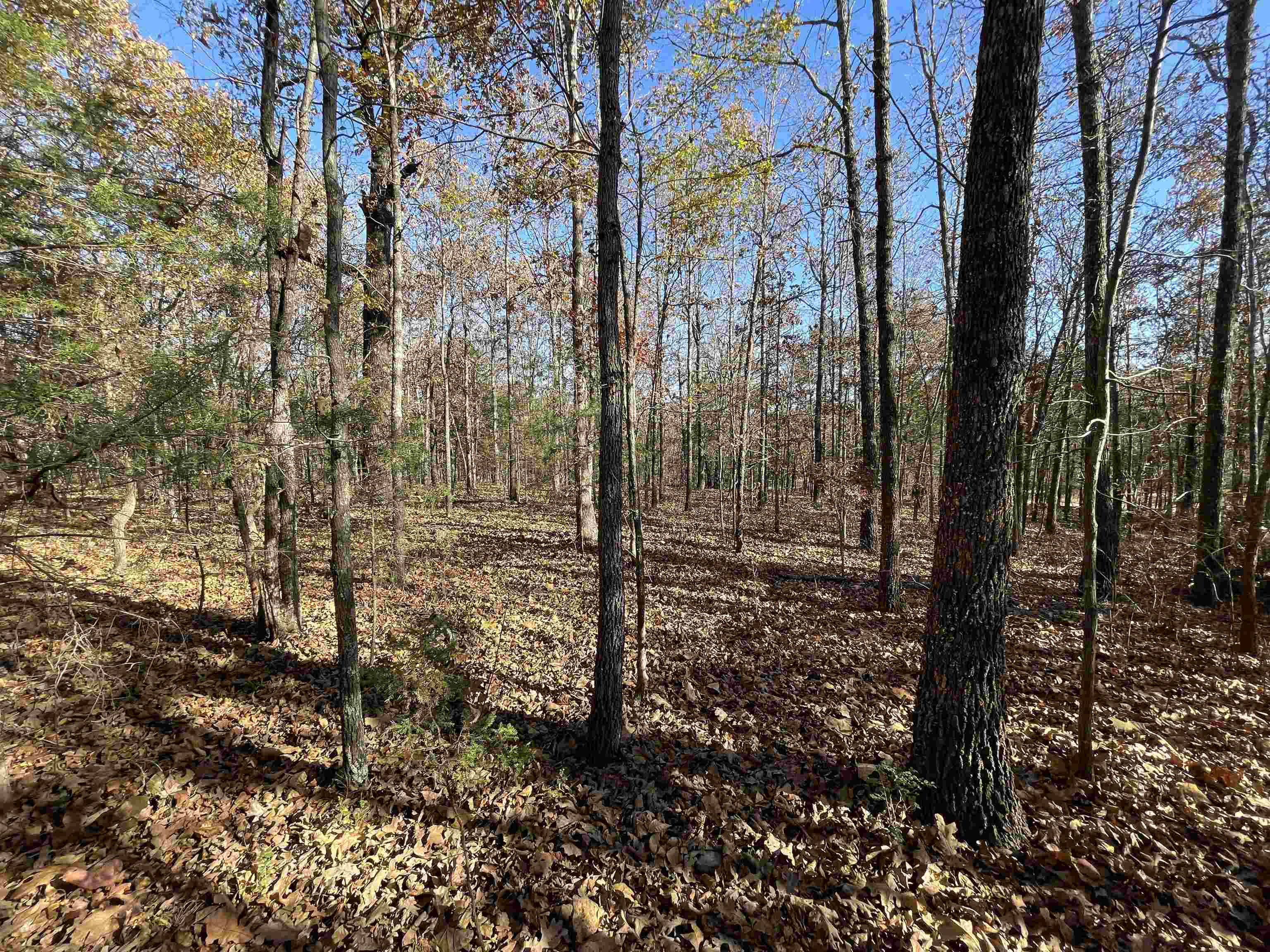 743 The Day  Ash Flat, AR