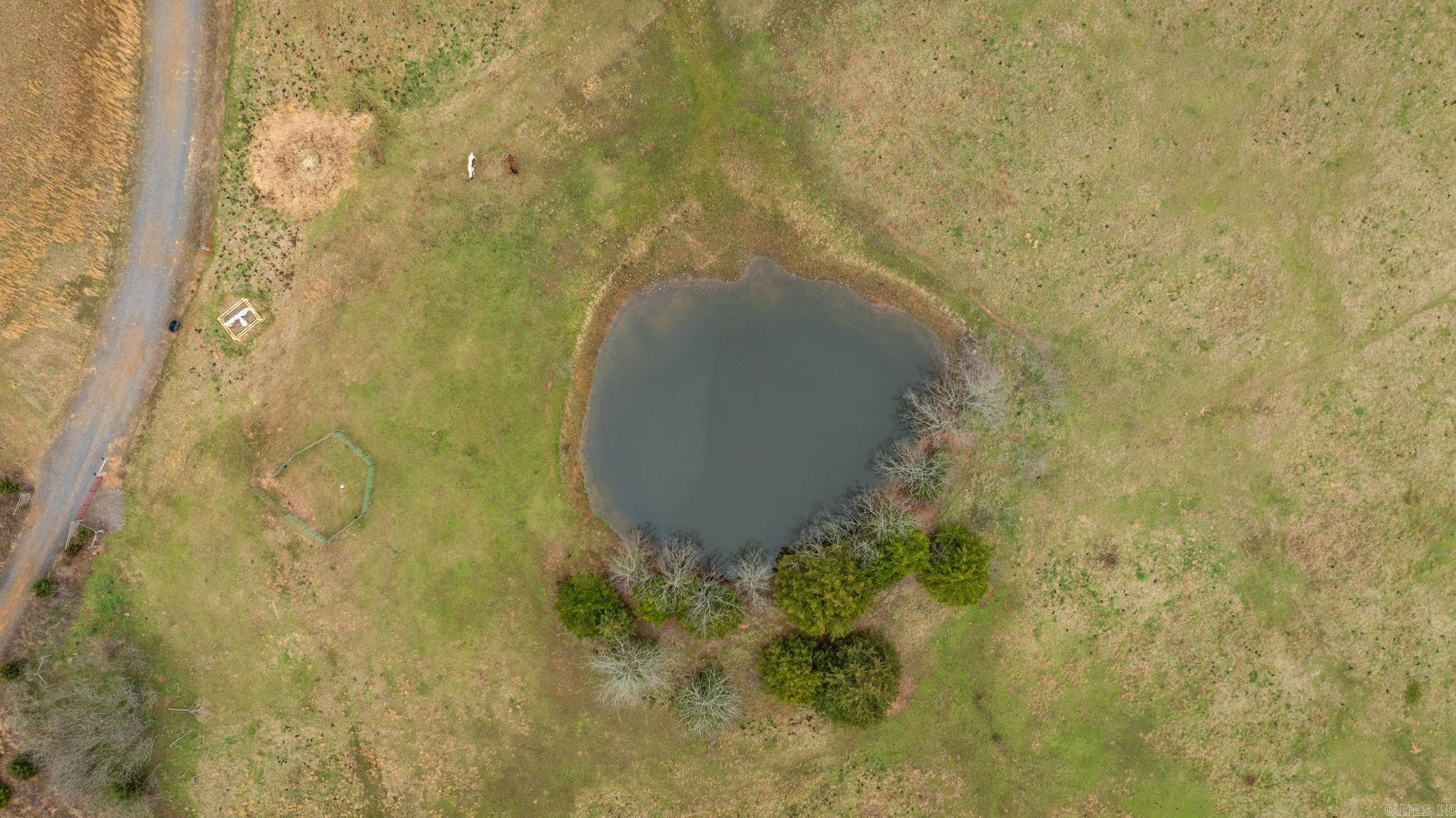 151 Latigo  Greenbrier, AR