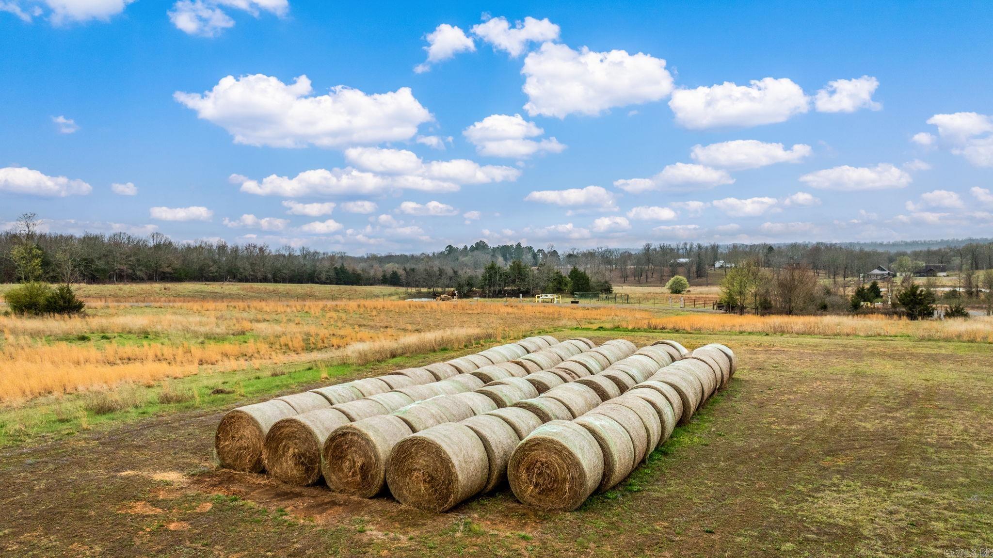 151 Latigo  Greenbrier, AR