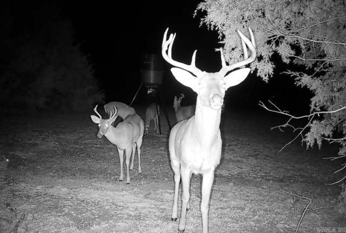 151 Latigo  Greenbrier, AR