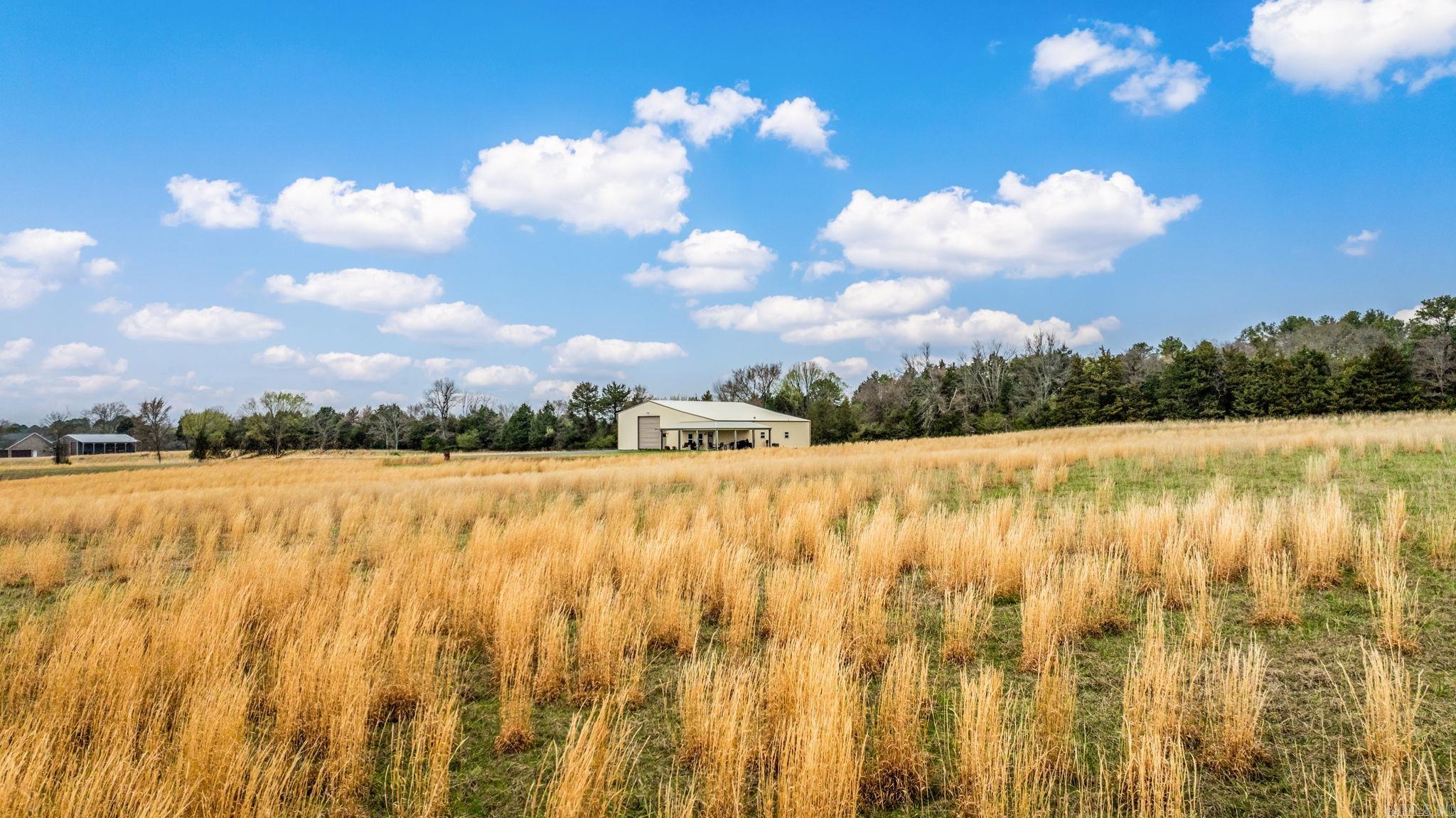 151 Latigo  Greenbrier, AR