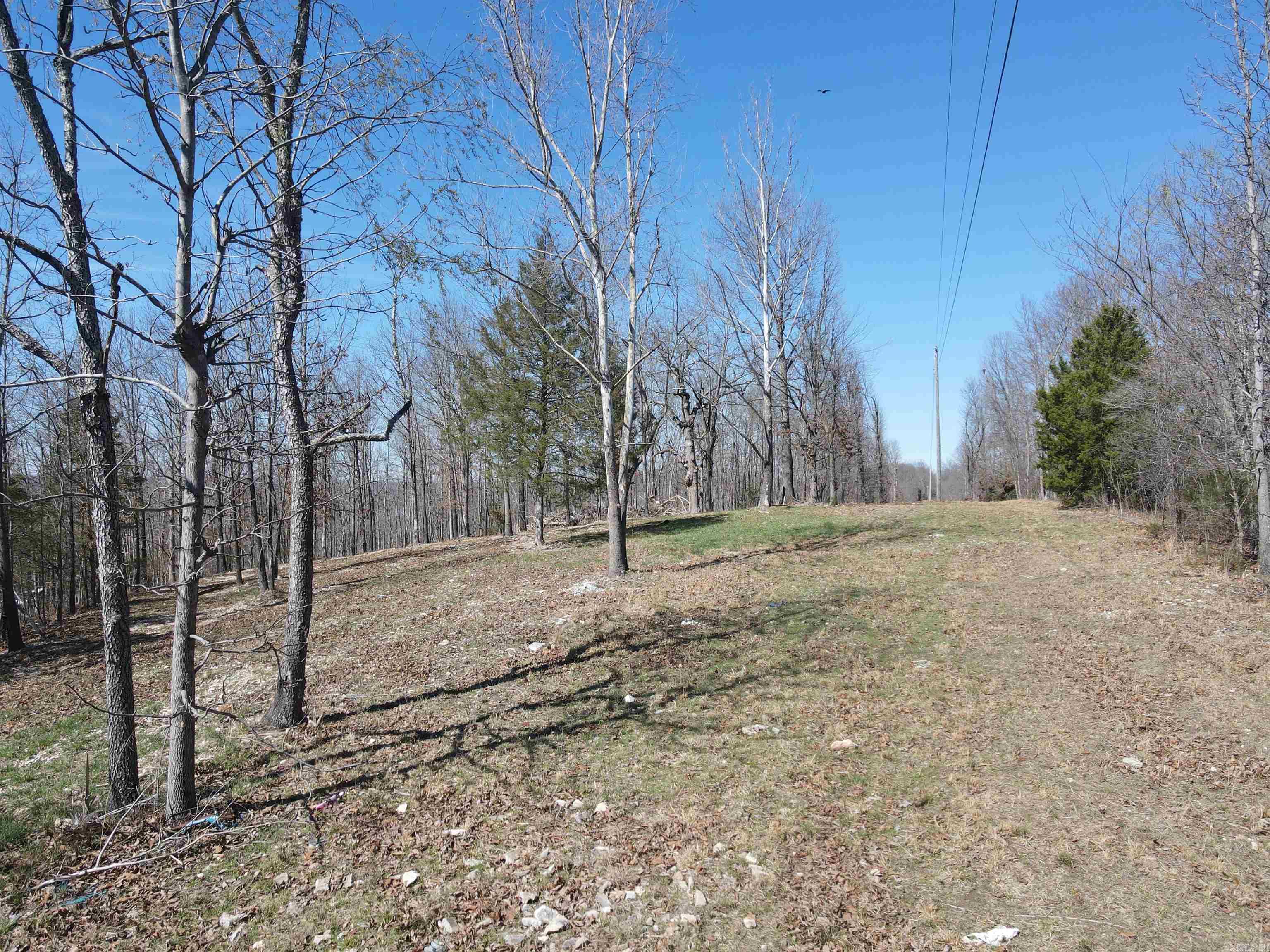 4411 Red Bluff Rd.  Marshall, AR