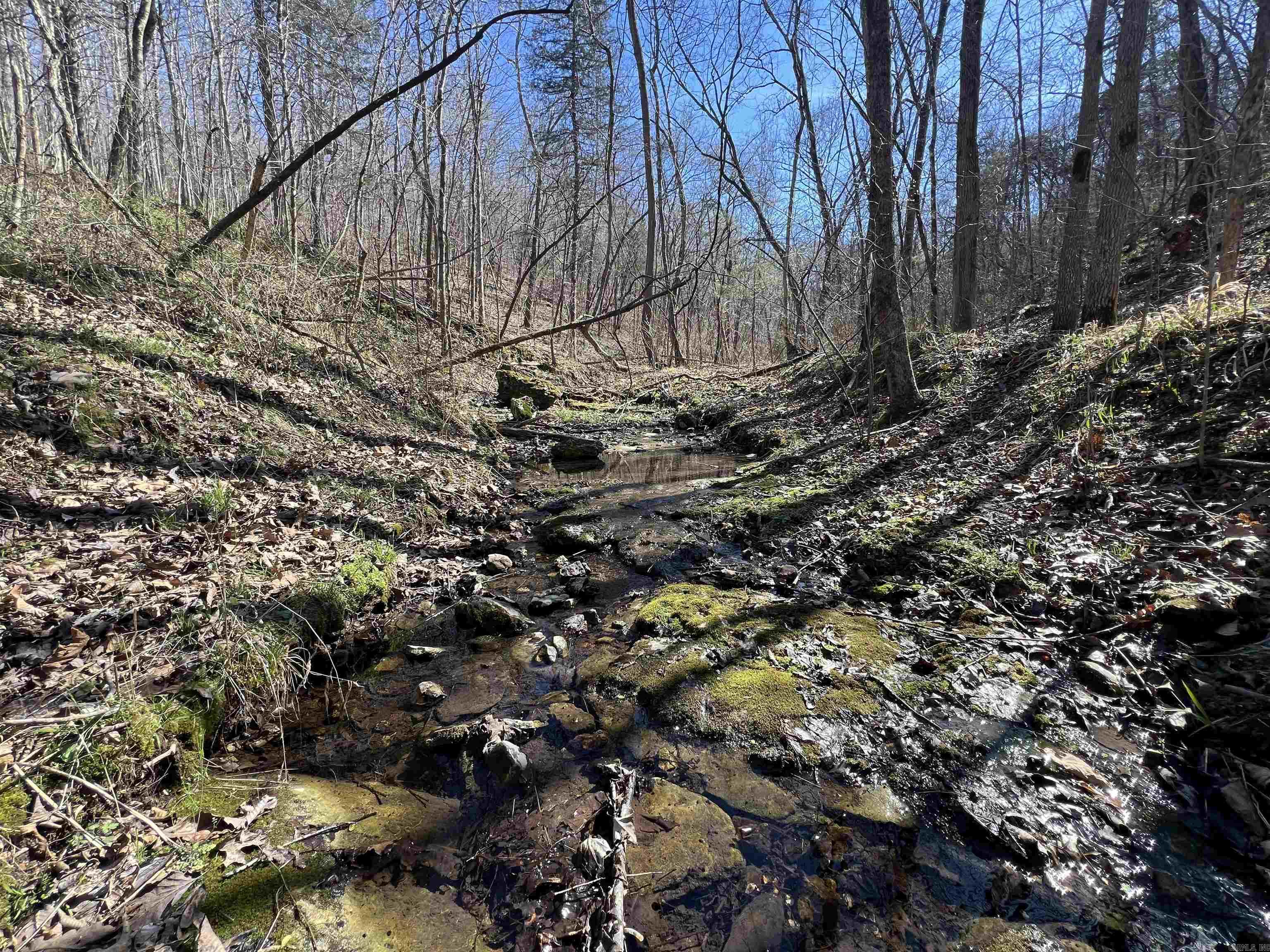 4411 Red Bluff Rd.  Marshall, AR