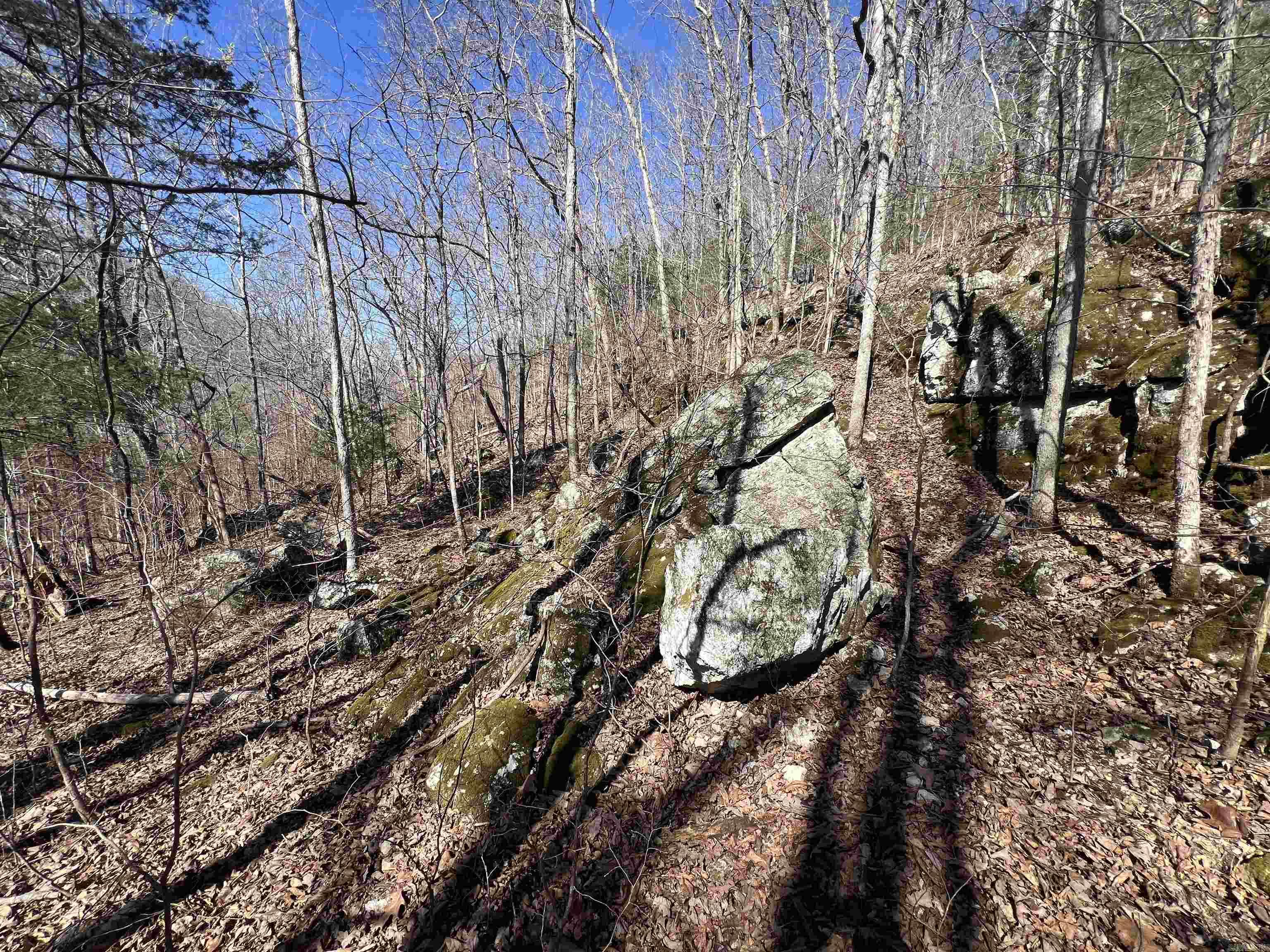 4411 Red Bluff Rd.  Marshall, AR