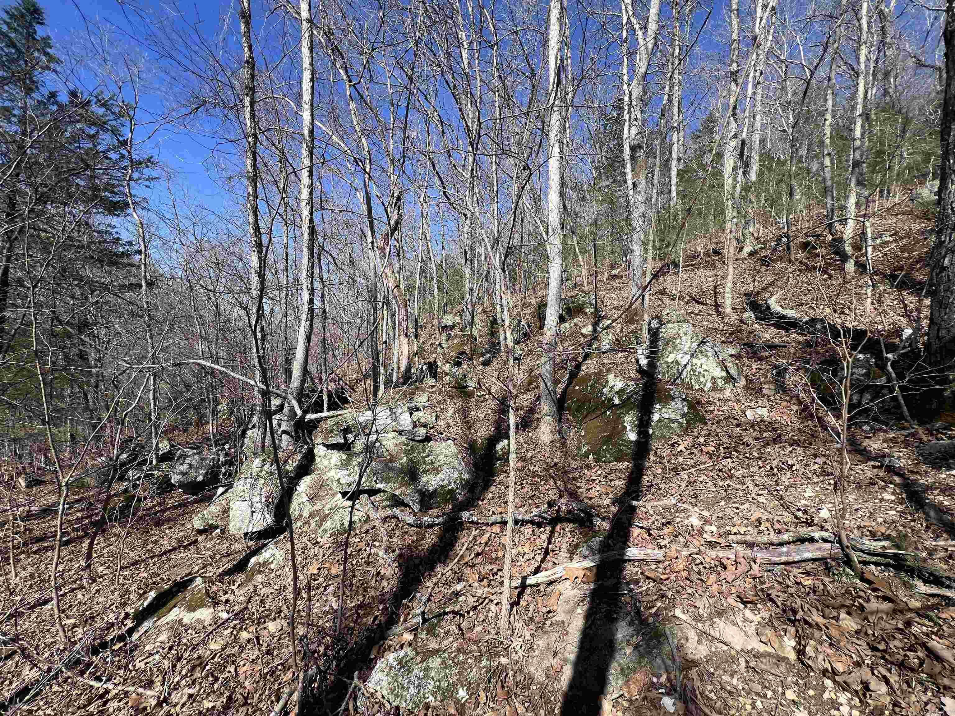 4411 Red Bluff Rd.  Marshall, AR