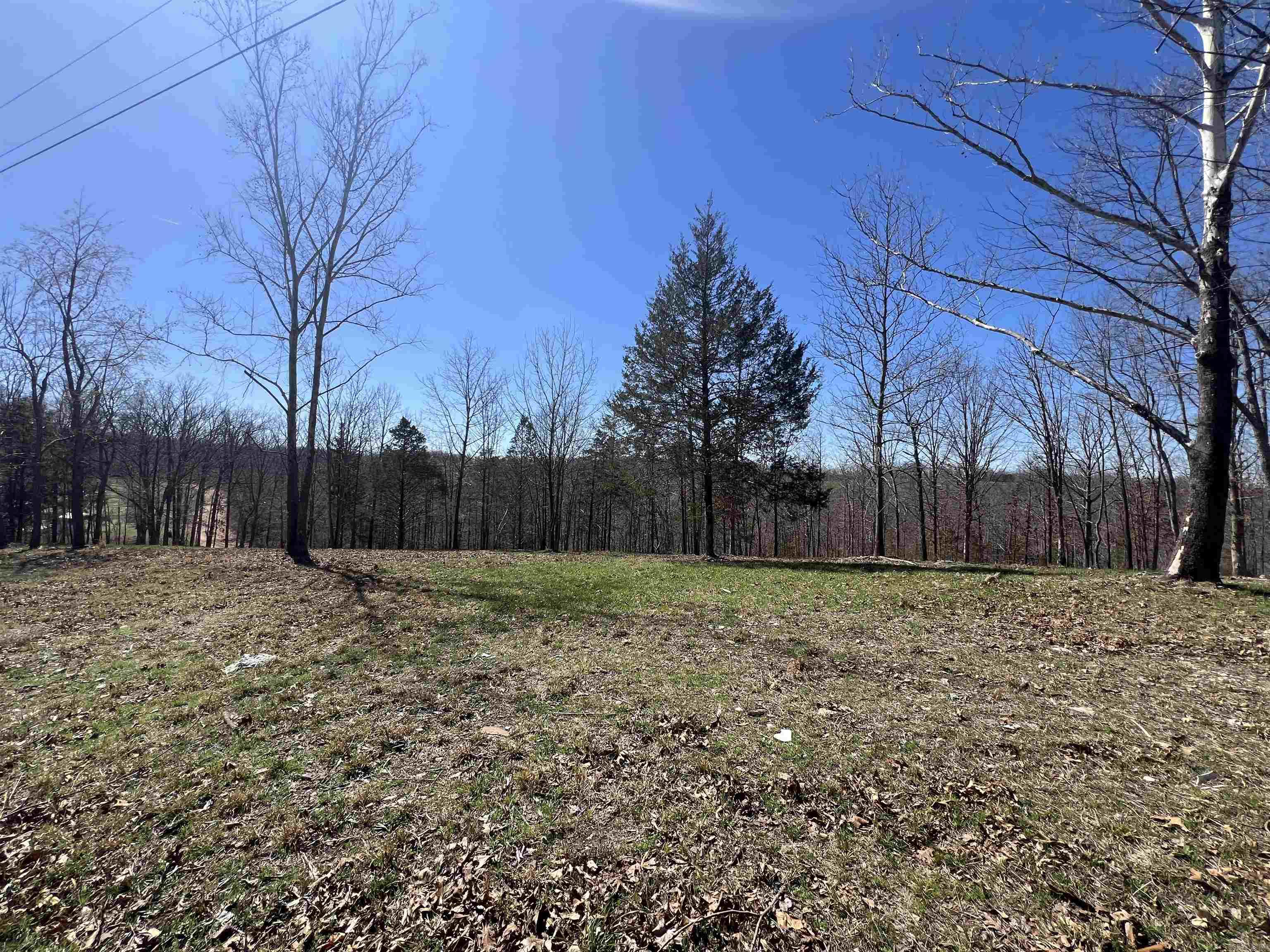 4411 Red Bluff Rd.  Marshall, AR