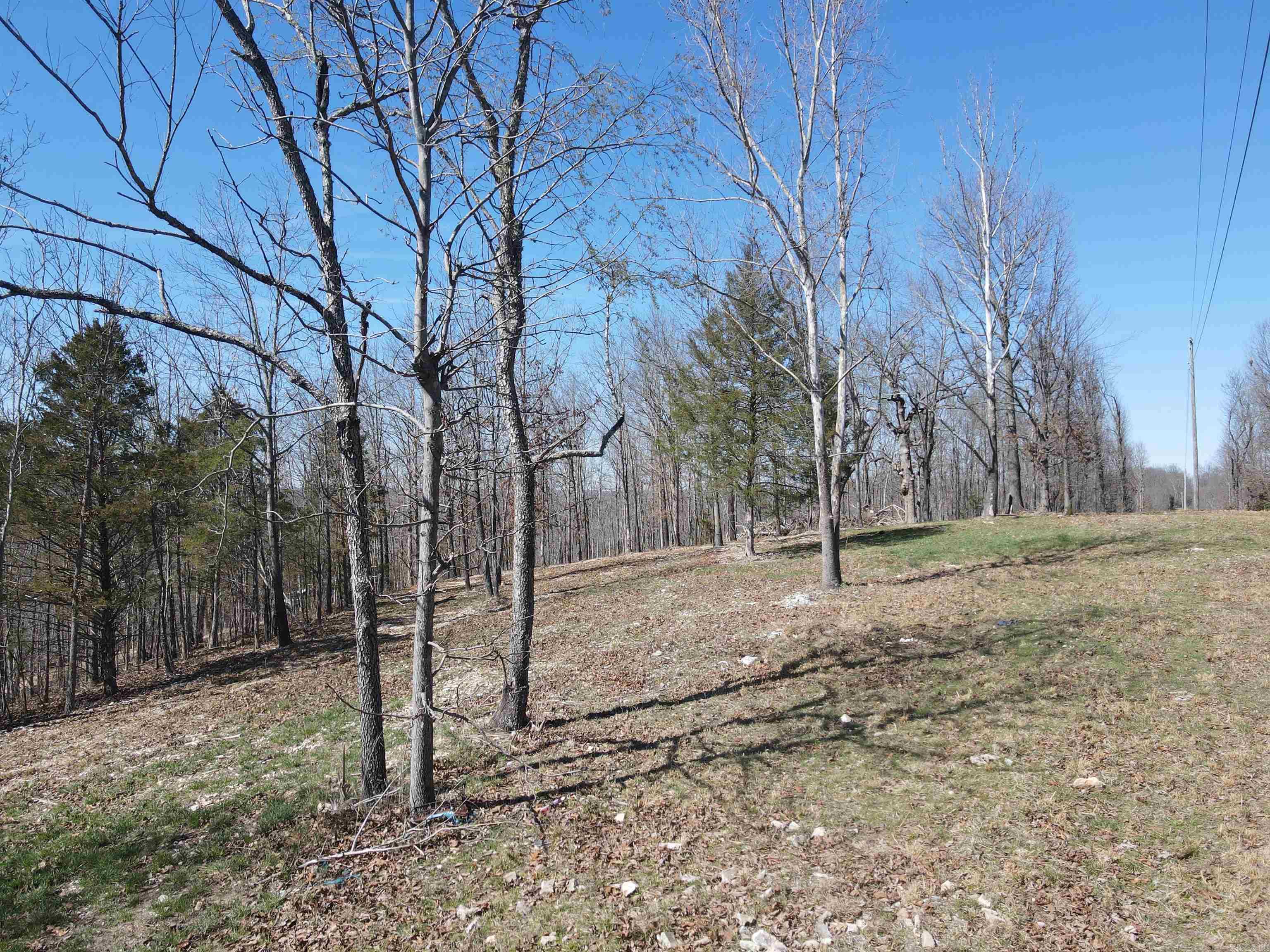 4411 Red Bluff Rd.  Marshall, AR