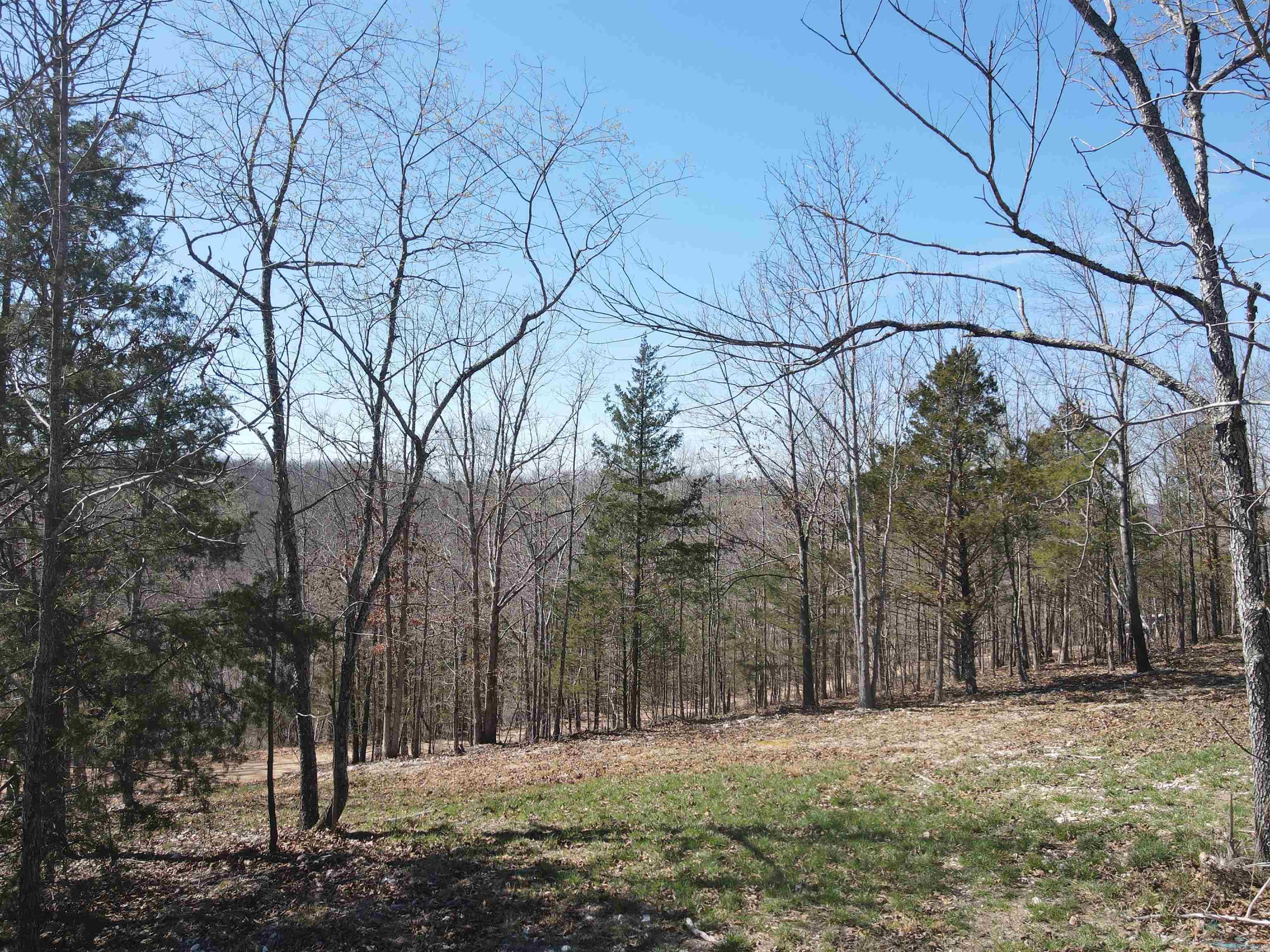 4411 Red Bluff Rd.  Marshall, AR