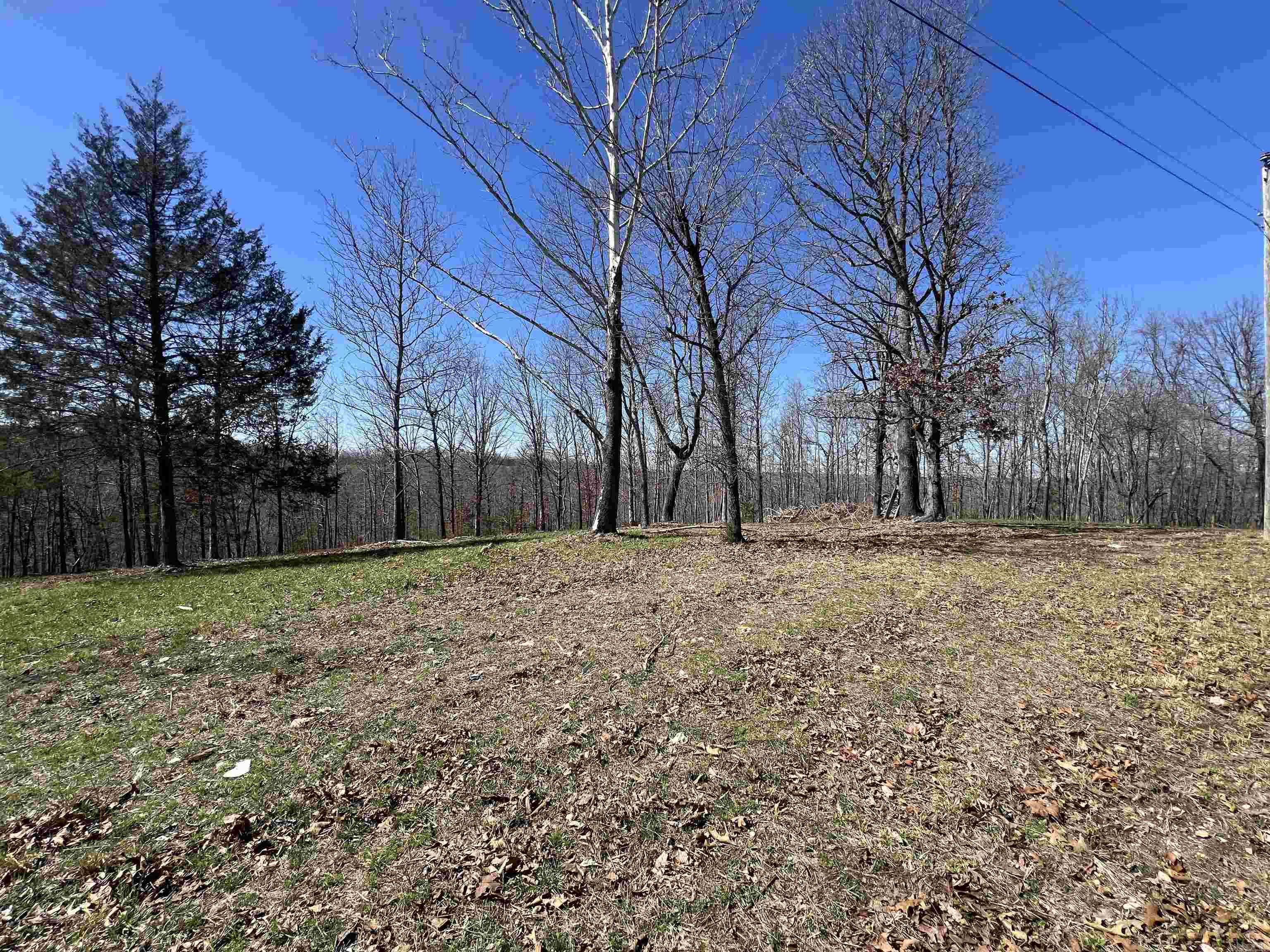 4411 Red Bluff Rd.  Marshall, AR