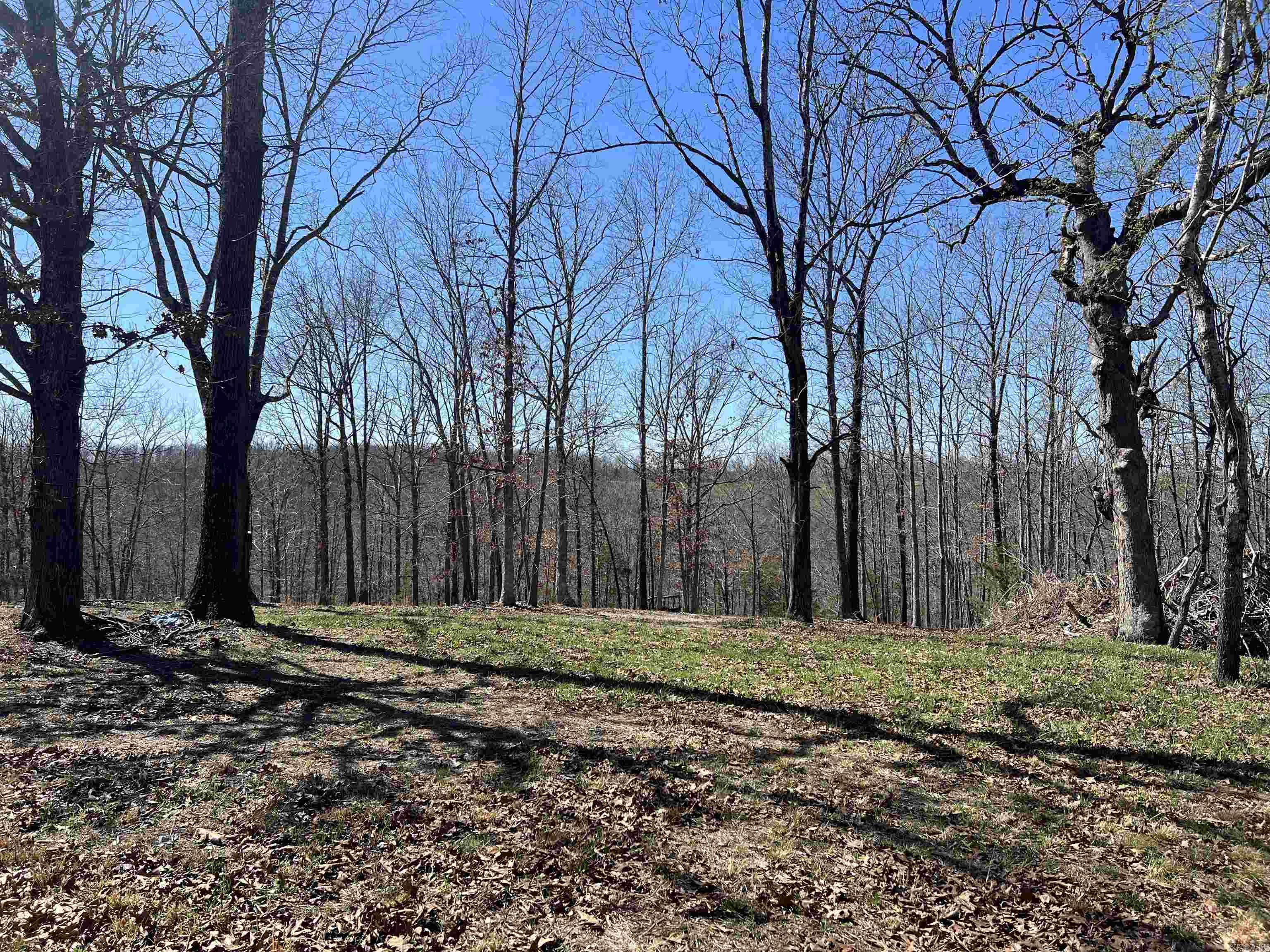 4411 Red Bluff Rd.  Marshall, AR