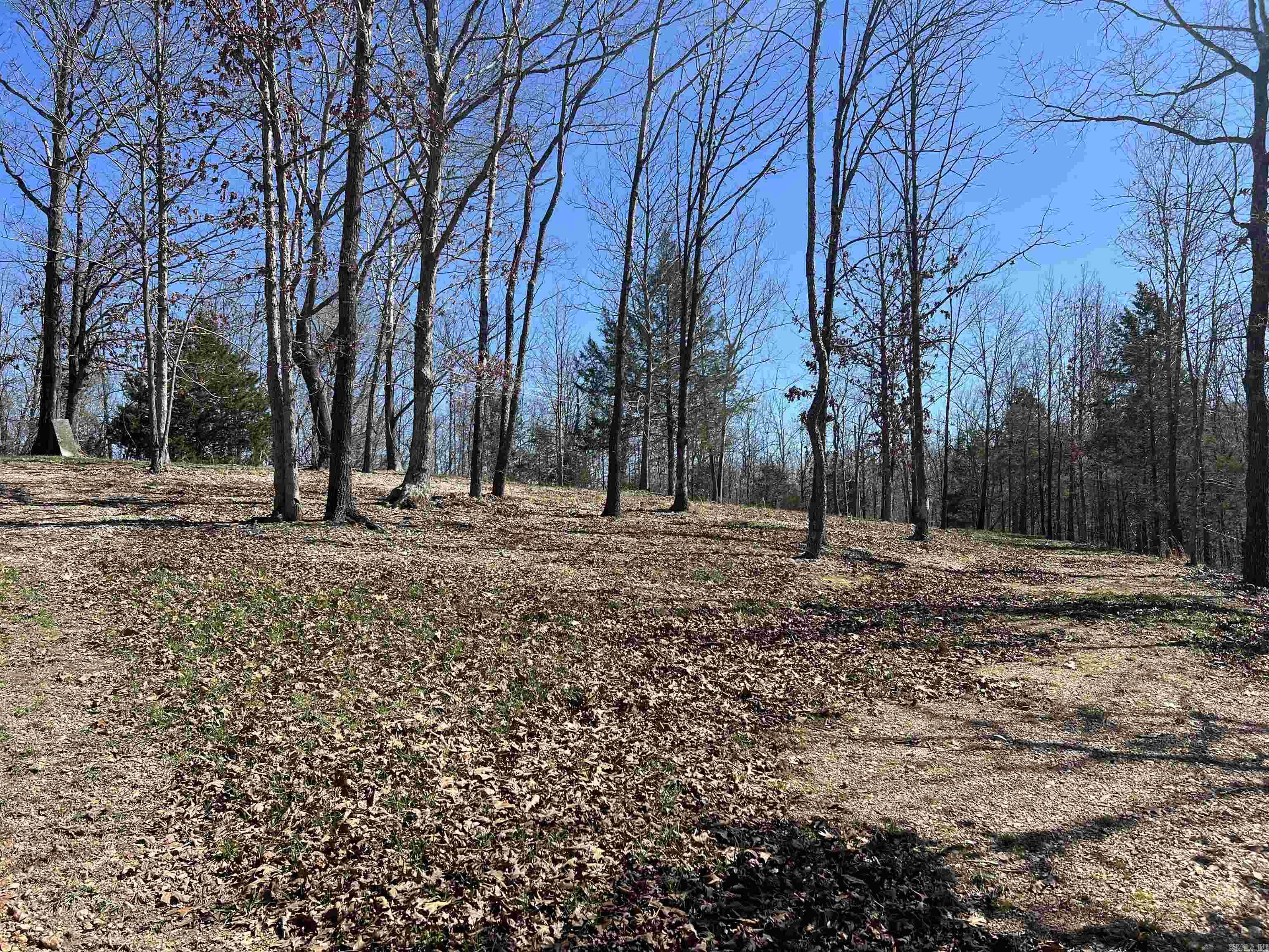 4411 Red Bluff Rd.  Marshall, AR