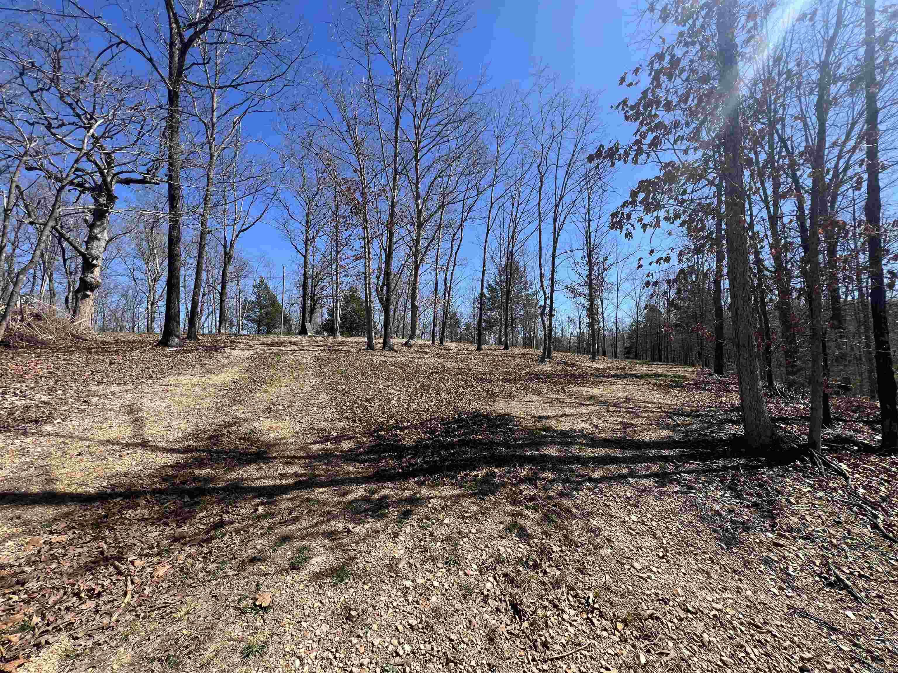 4411 Red Bluff Rd.  Marshall, AR