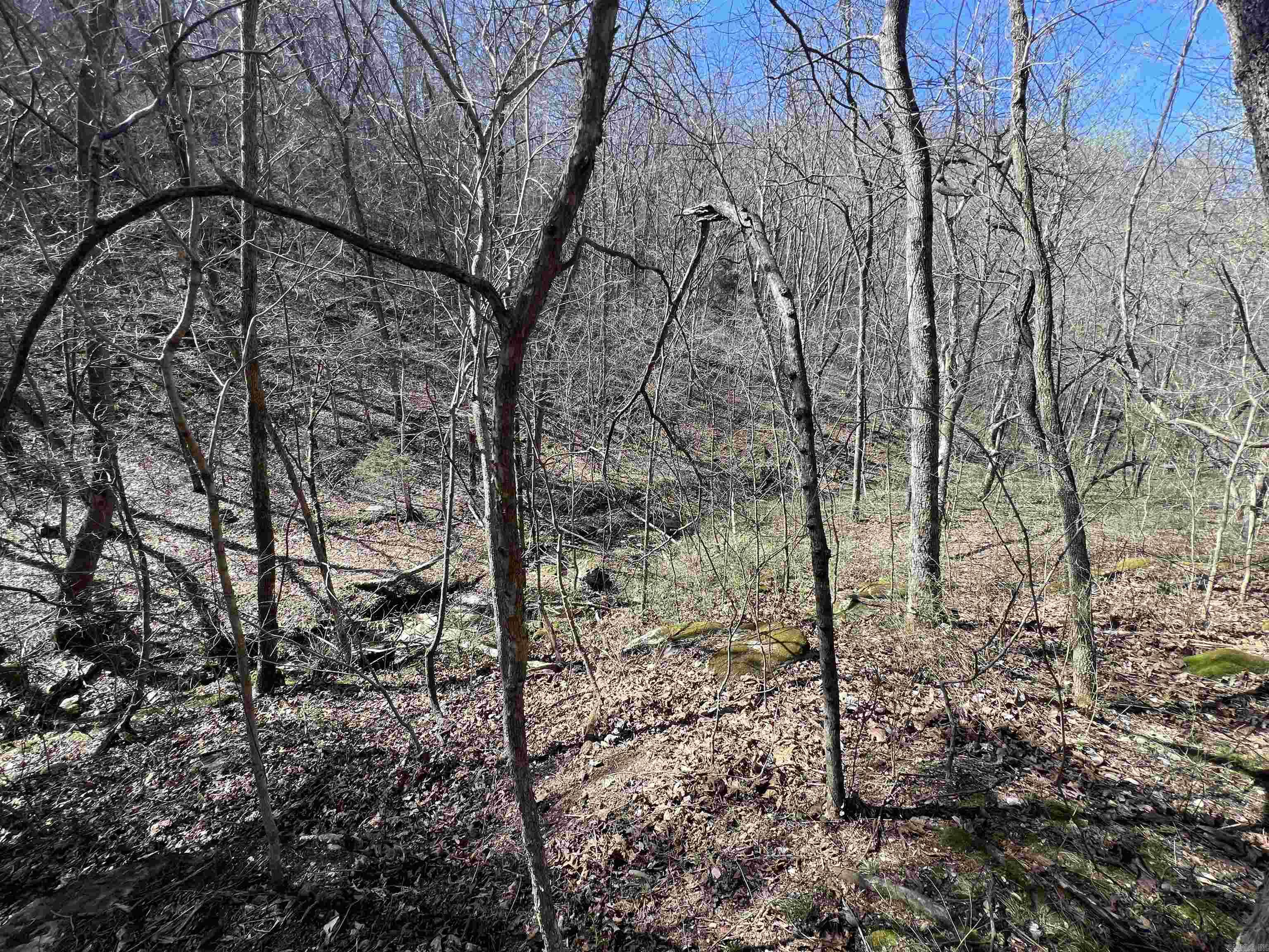 4411 Red Bluff Rd.  Marshall, AR