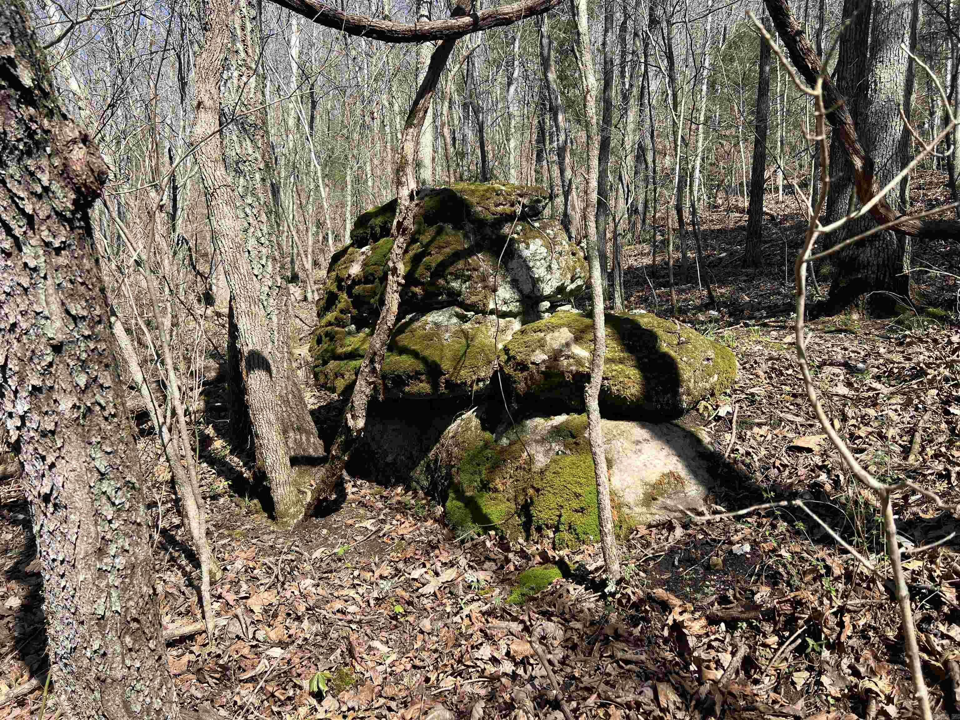 4411 Red Bluff Rd.  Marshall, AR