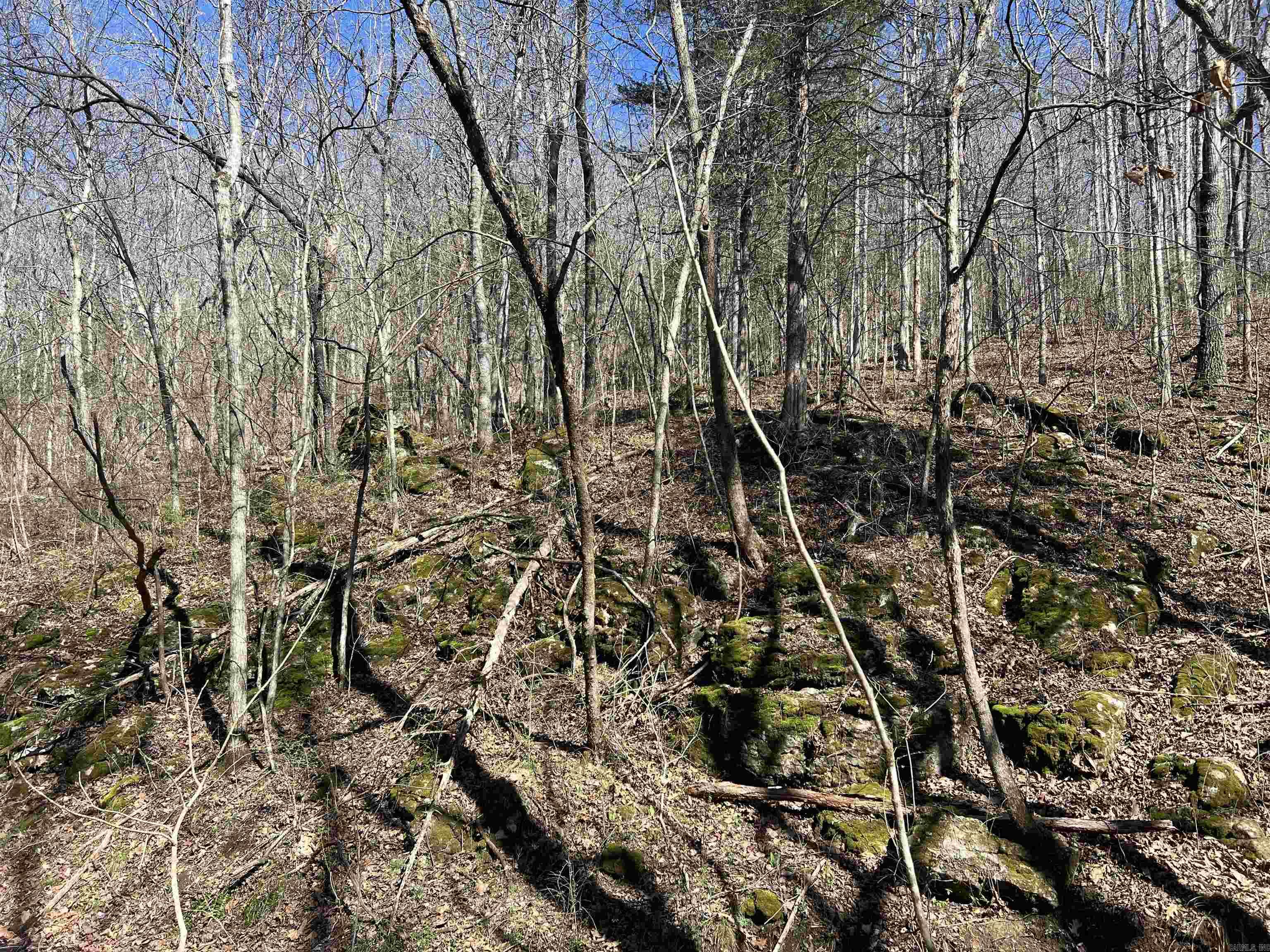 4411 Red Bluff Rd.  Marshall, AR