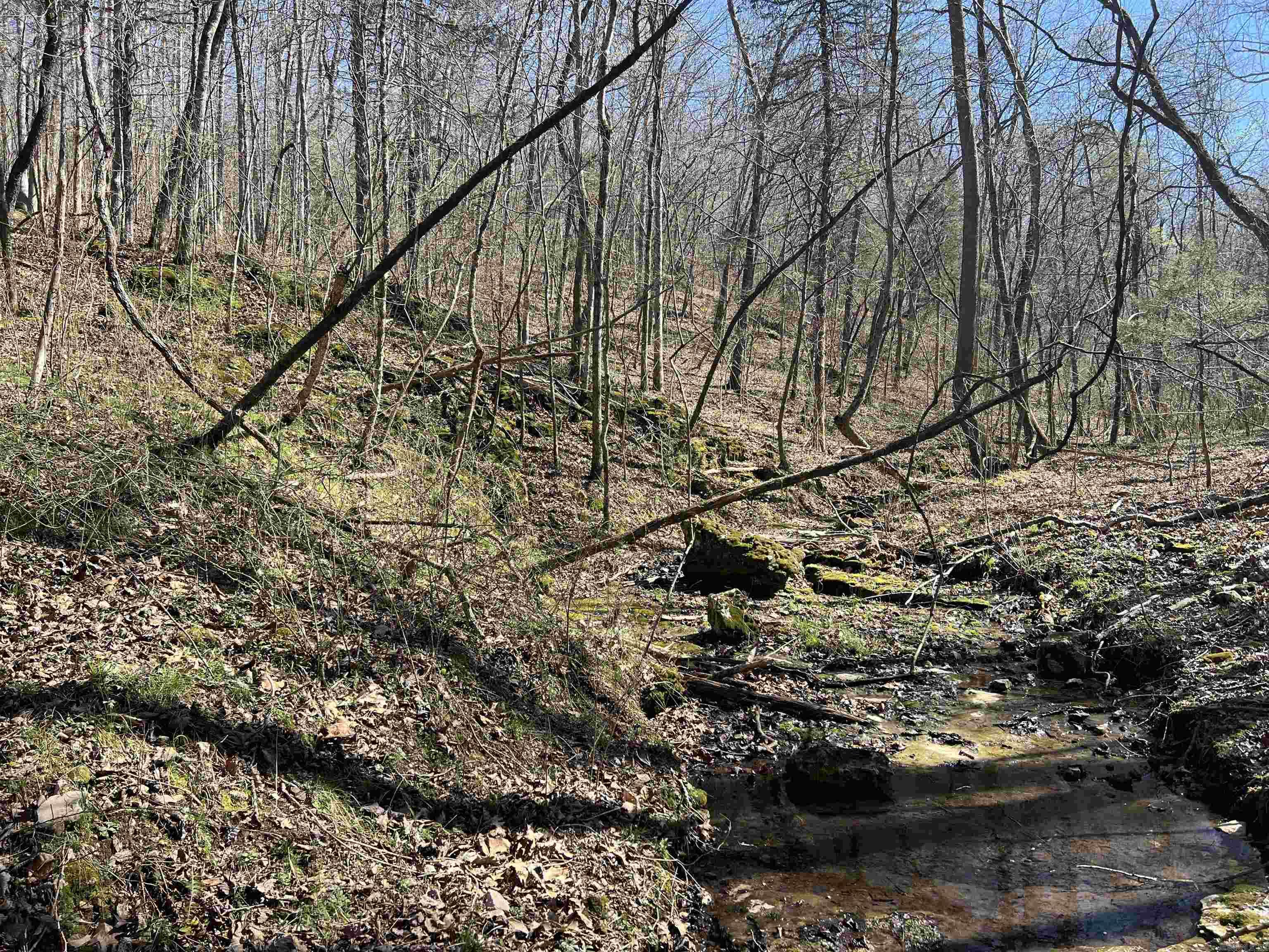 4411 Red Bluff Rd.  Marshall, AR