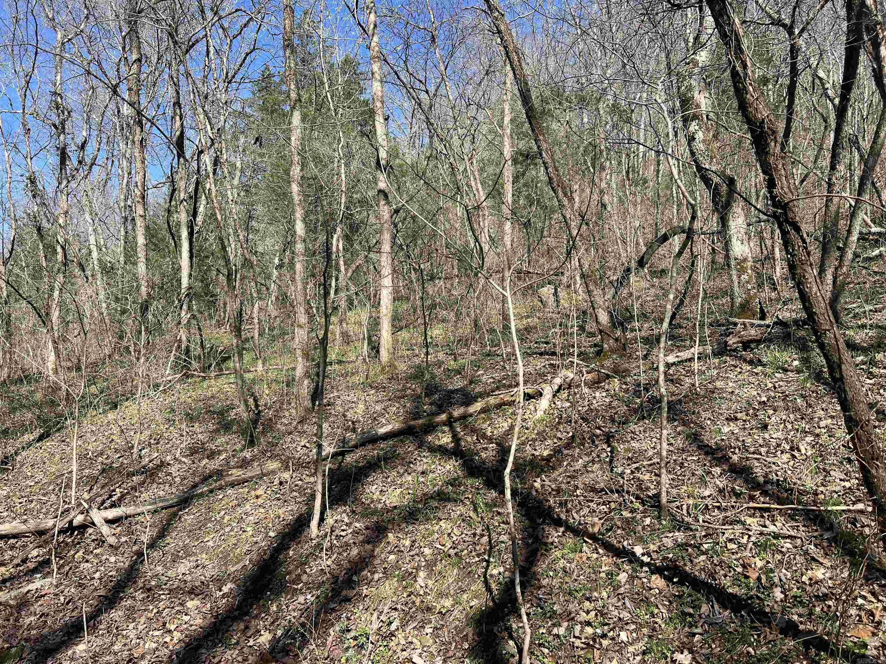 4411 Red Bluff Rd.  Marshall, AR