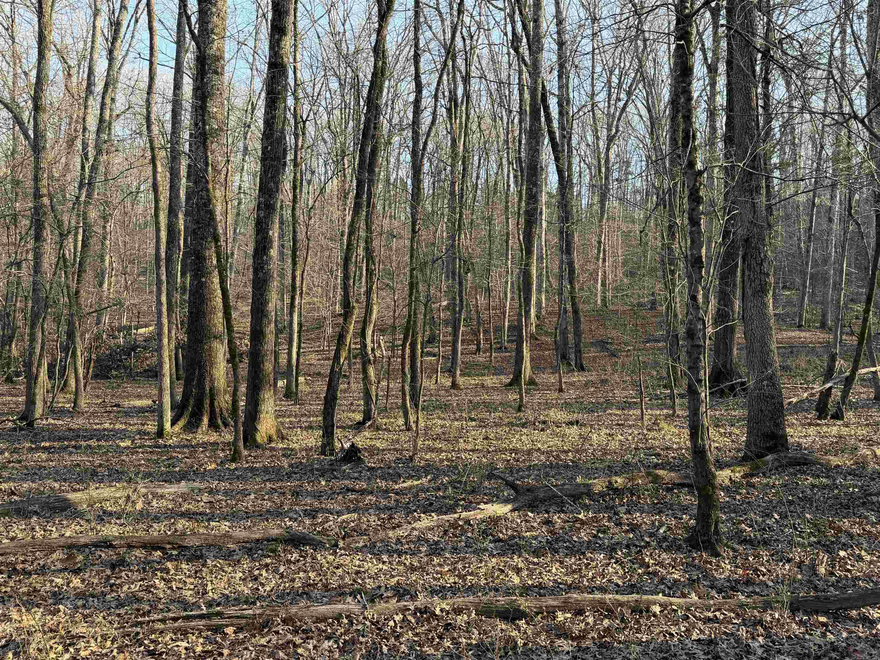 00 Highway 336 E  Clinton, AR