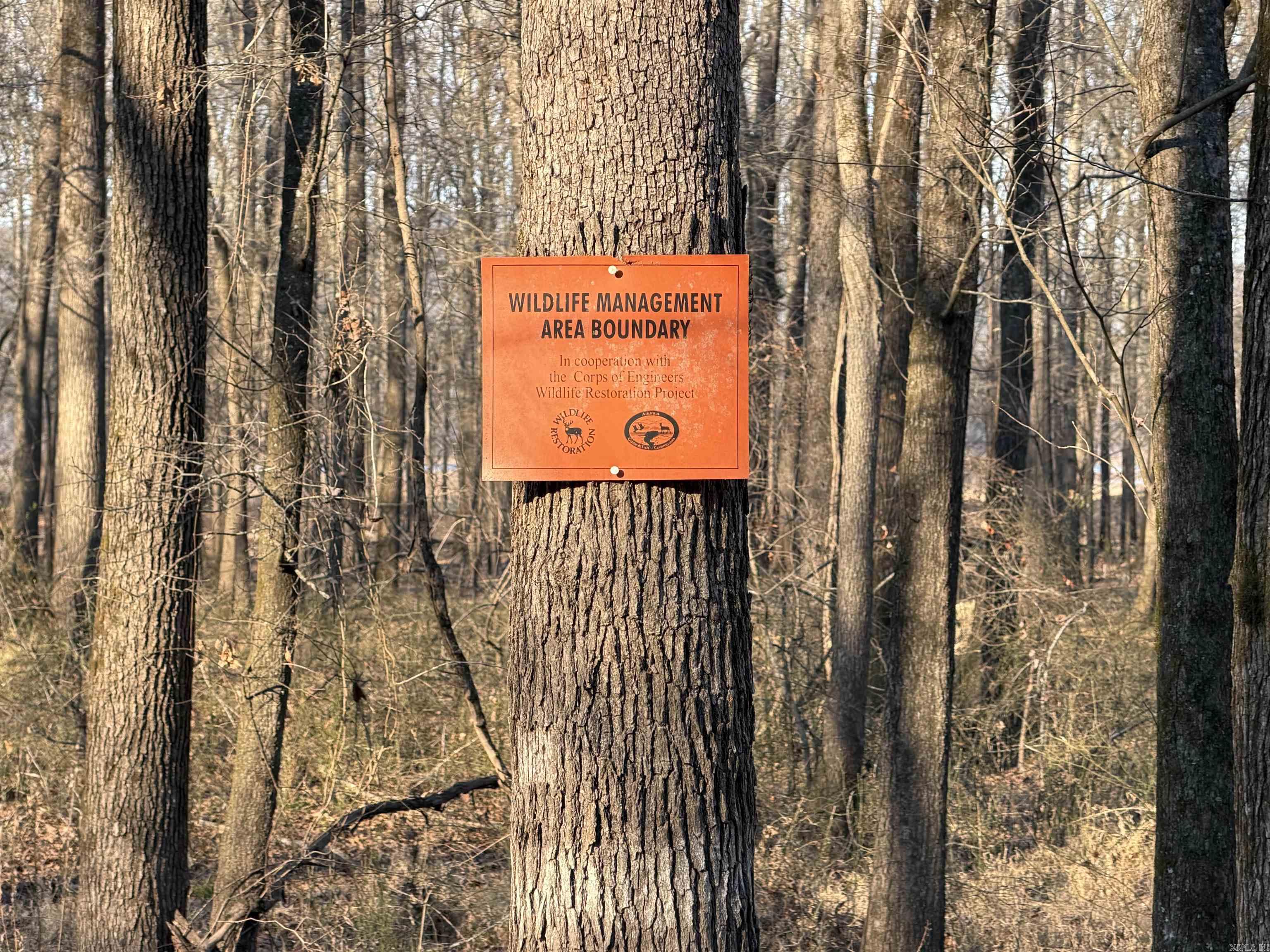 00 Highway 336 E  Clinton, AR