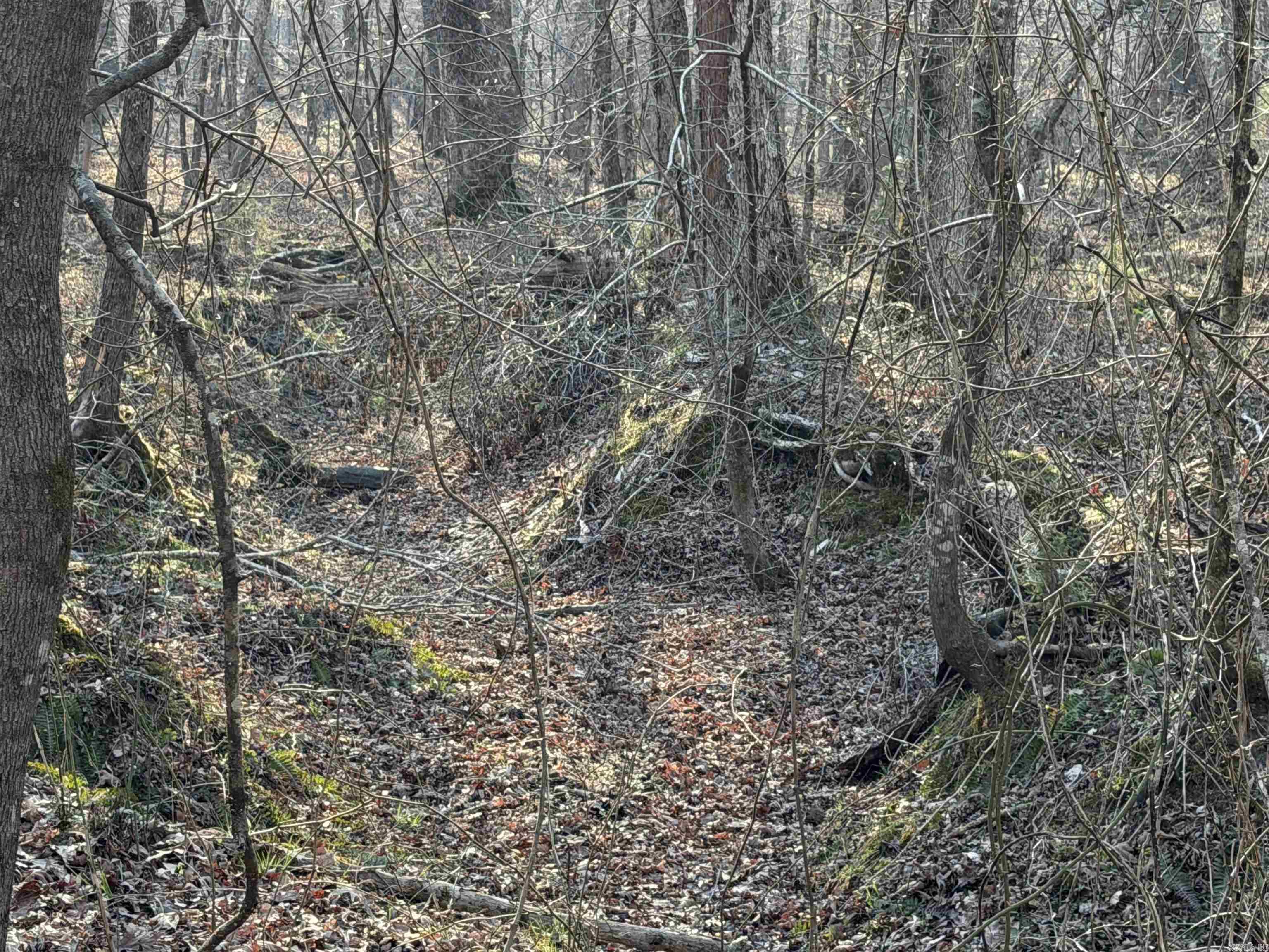 00 Highway 336 E  Clinton, AR