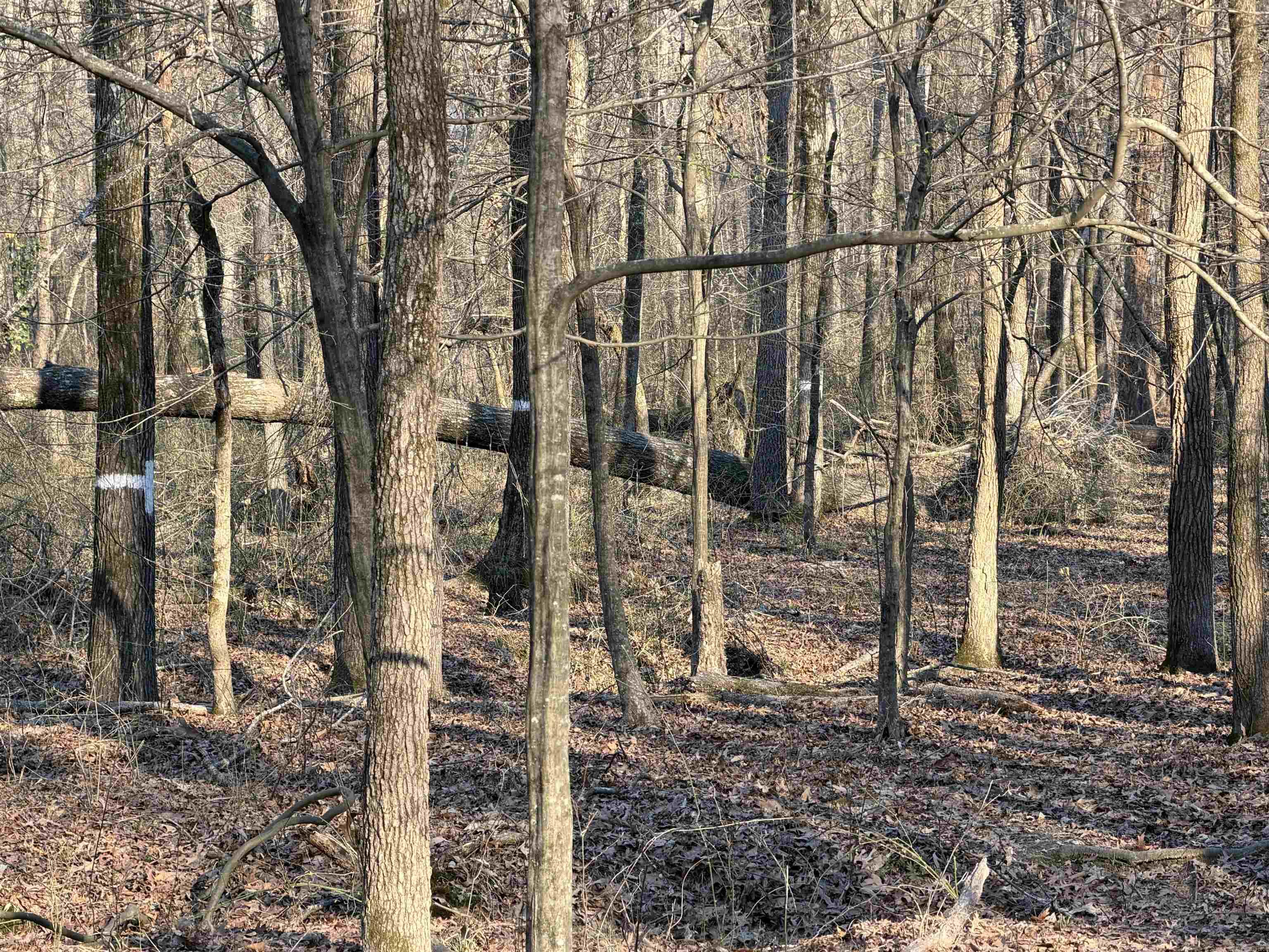 00 Highway 336 E  Clinton, AR