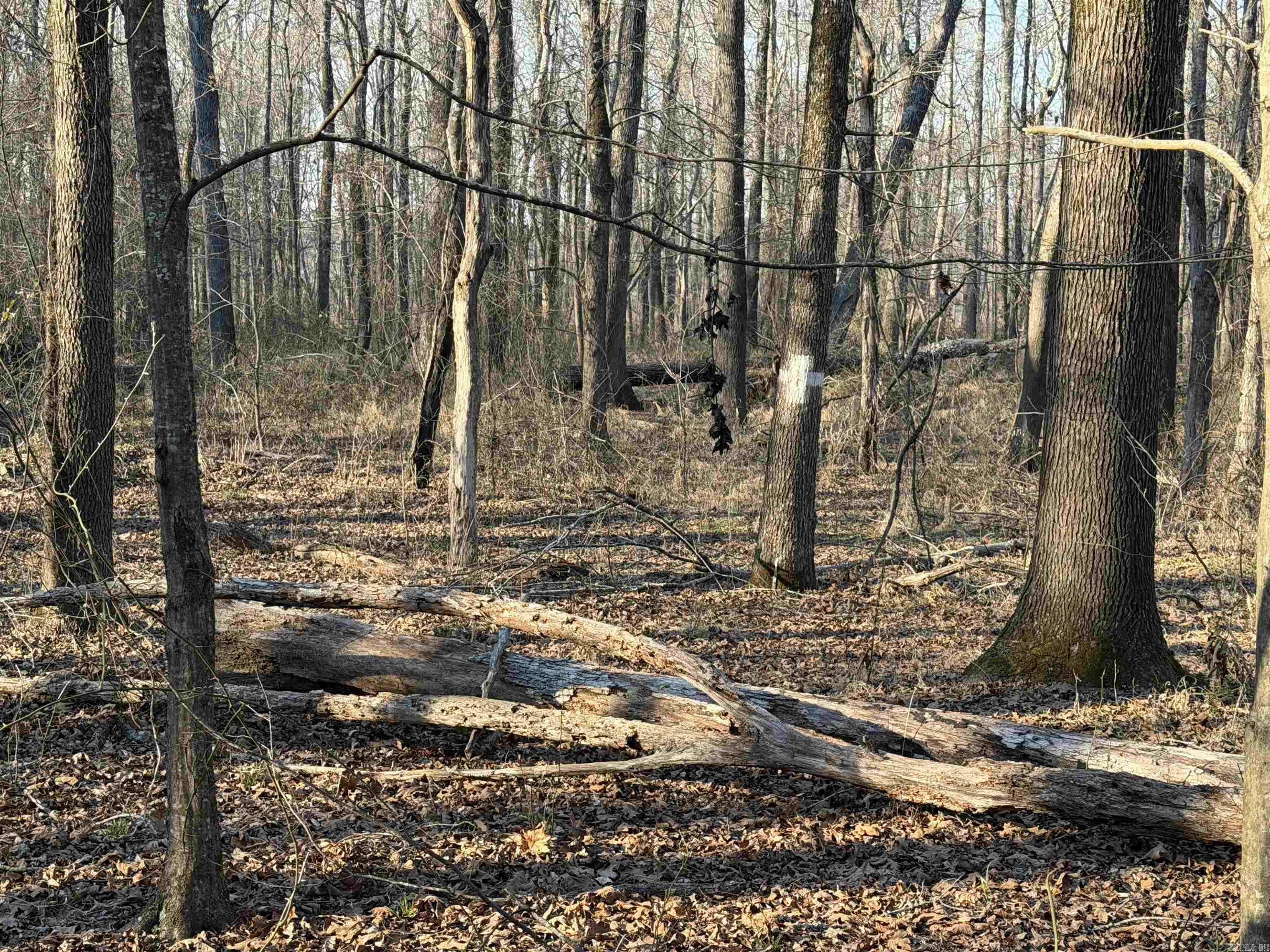 00 Highway 336 E  Clinton, AR