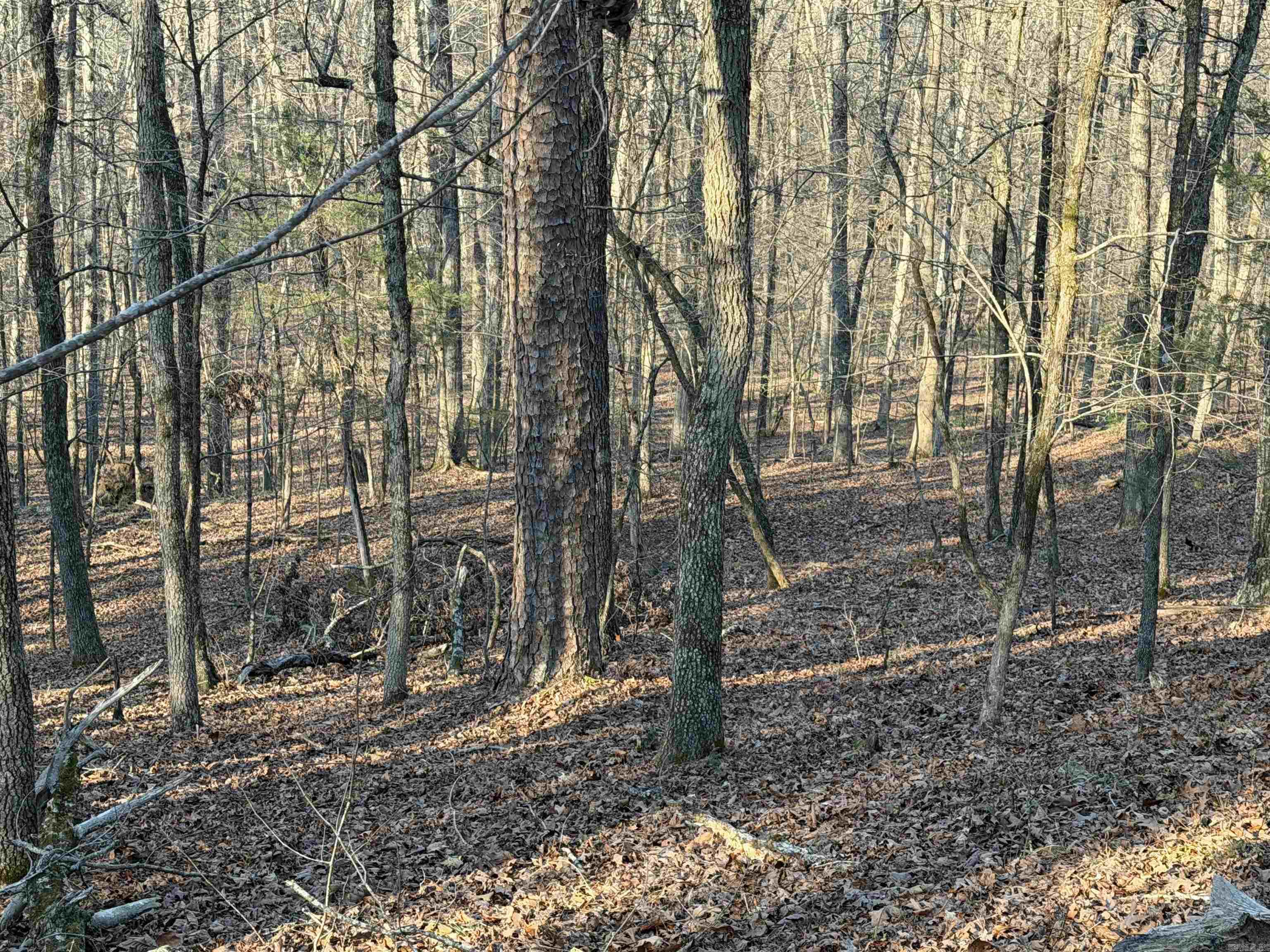 00 Highway 336 E  Clinton, AR