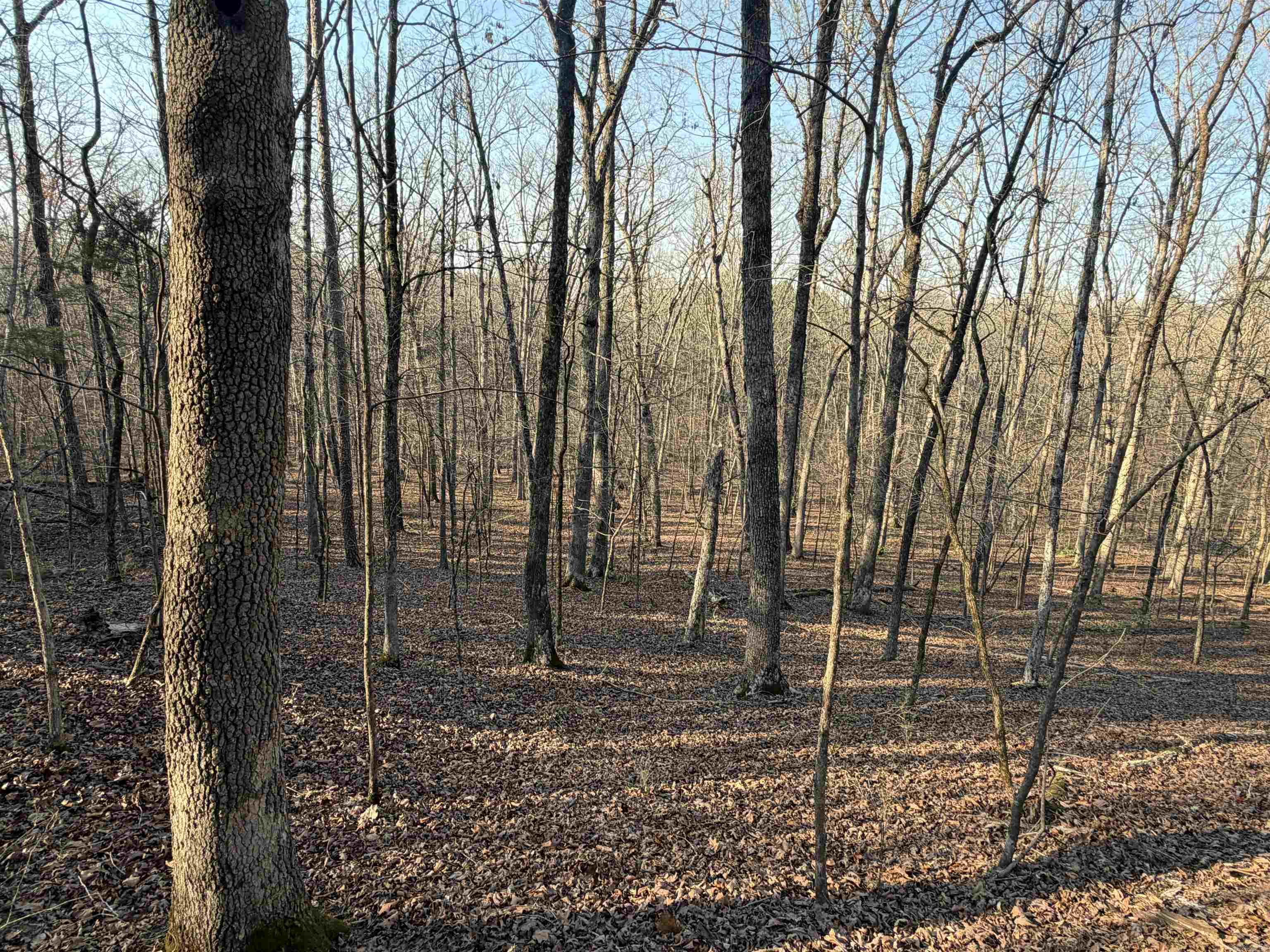 00 Highway 336 E  Clinton, AR