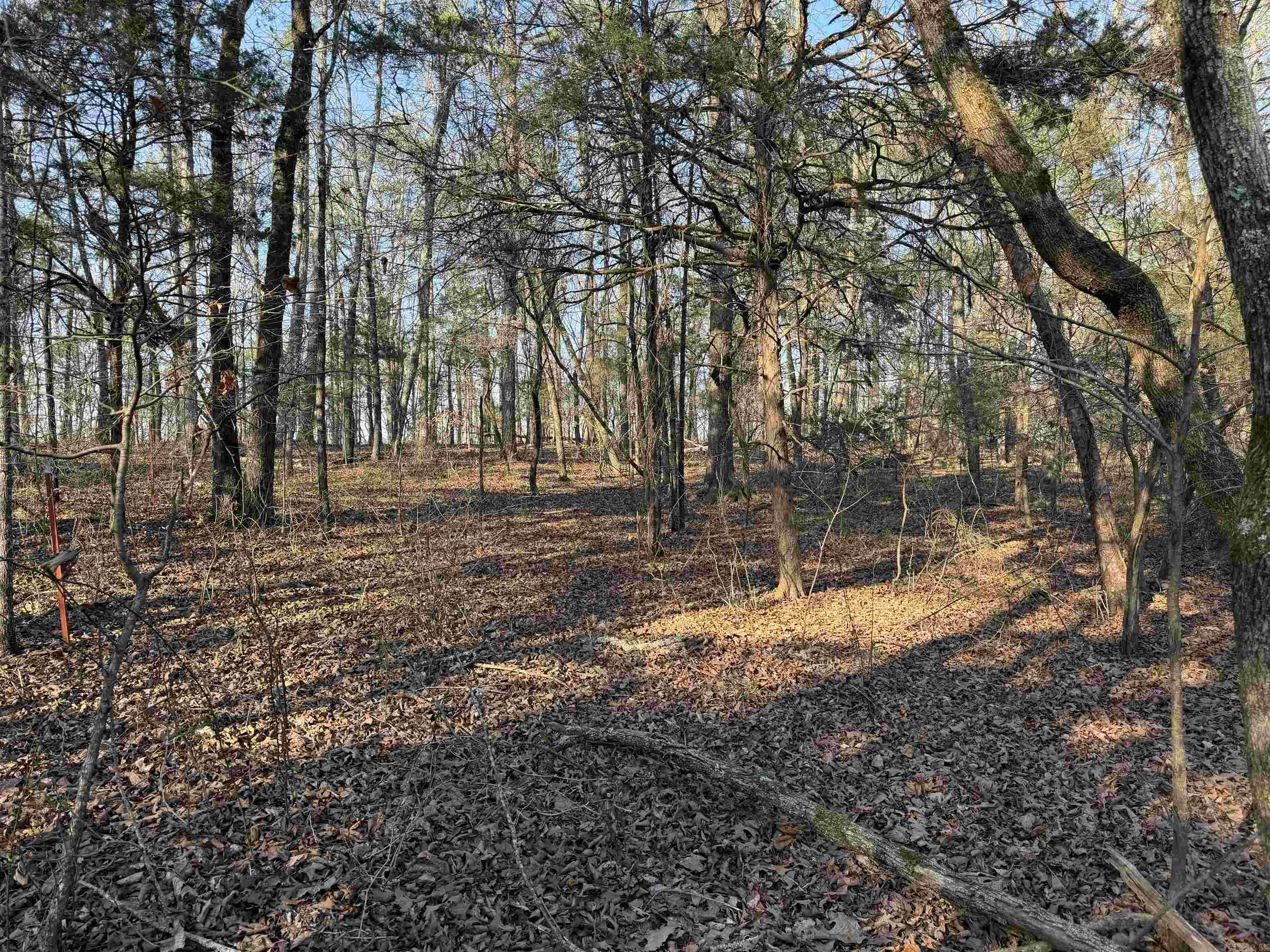 00 Highway 336 E  Clinton, AR