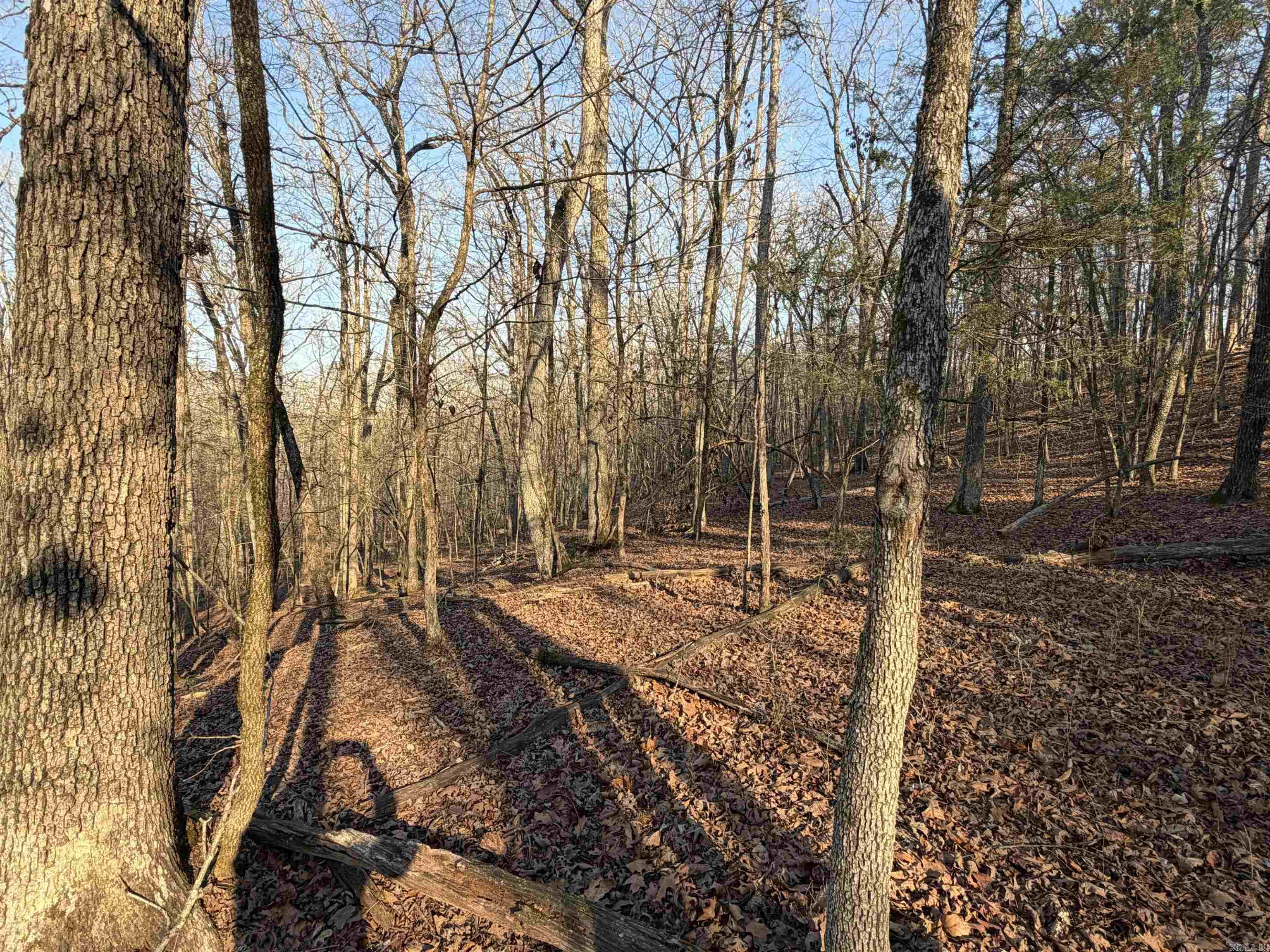 00 Highway 336 E  Clinton, AR