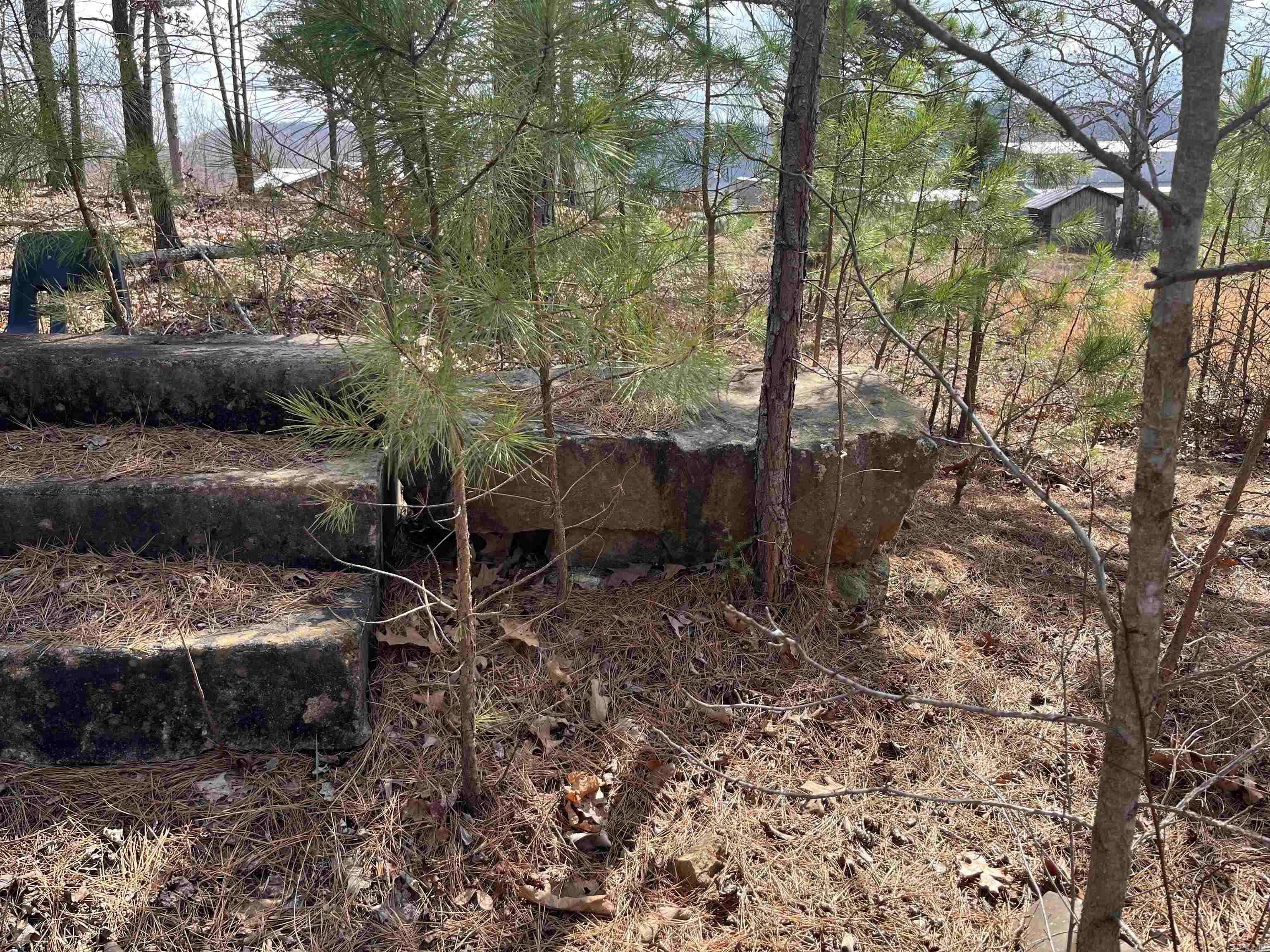 2314 Little Red River  Marshall, AR