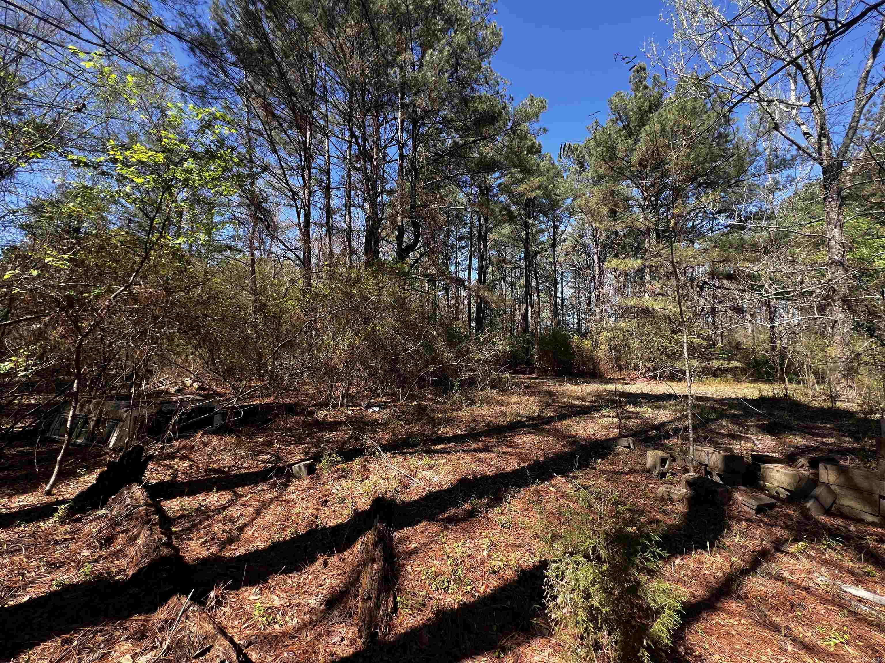 4508 Payton  Pine Bluff, AR