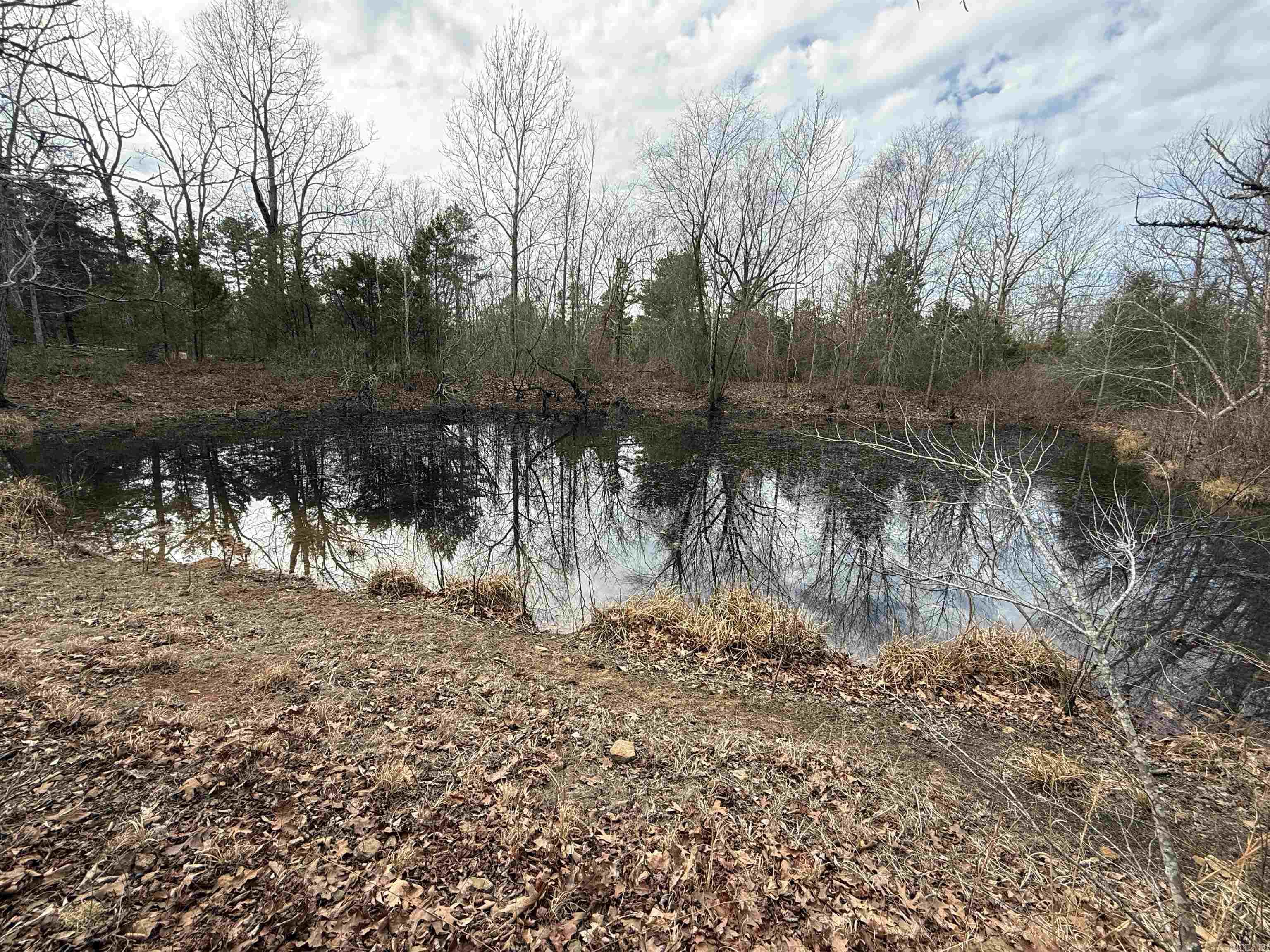 150 Blue Mountain  Alco, AR