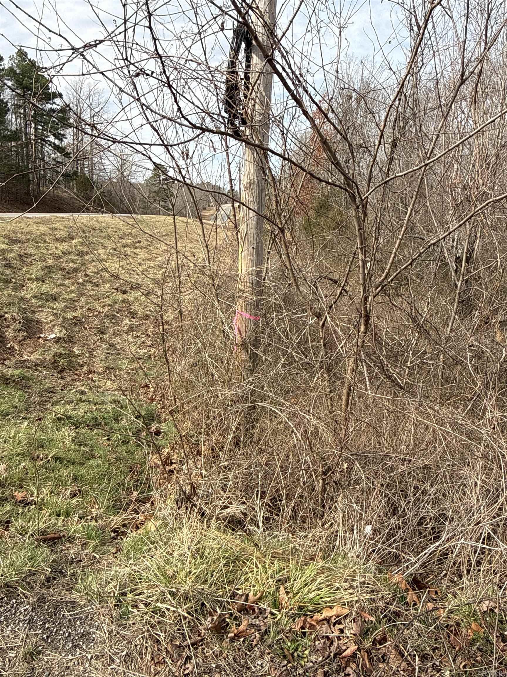 150 Blue Mountain  Alco, AR