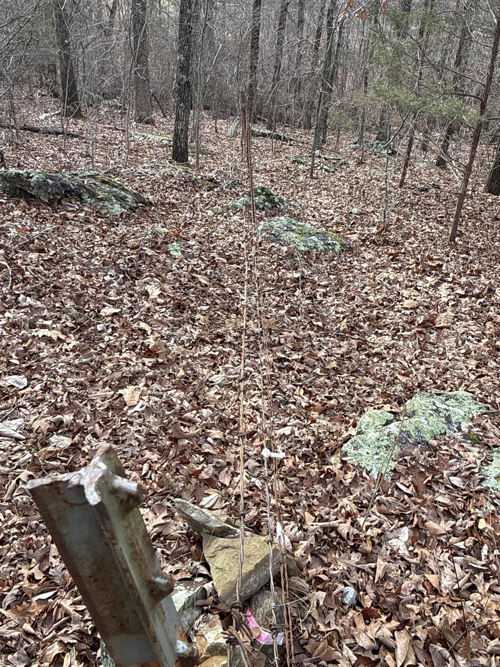 150 Blue Mountain  Alco, AR