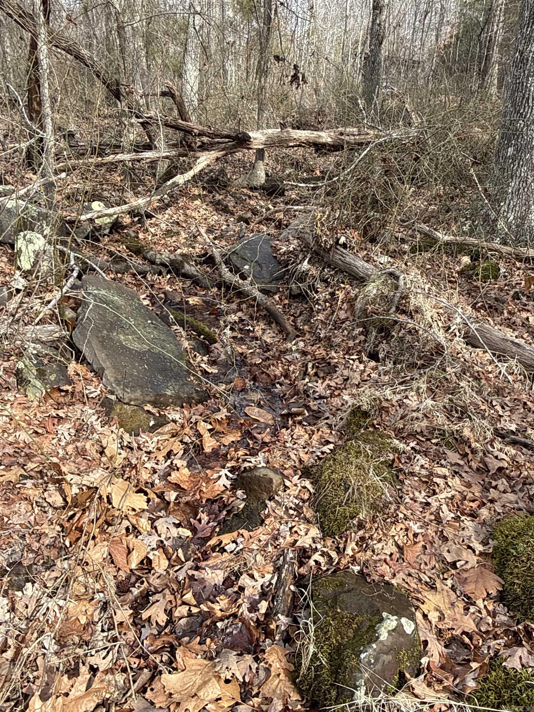 150 Blue Mountain  Alco, AR