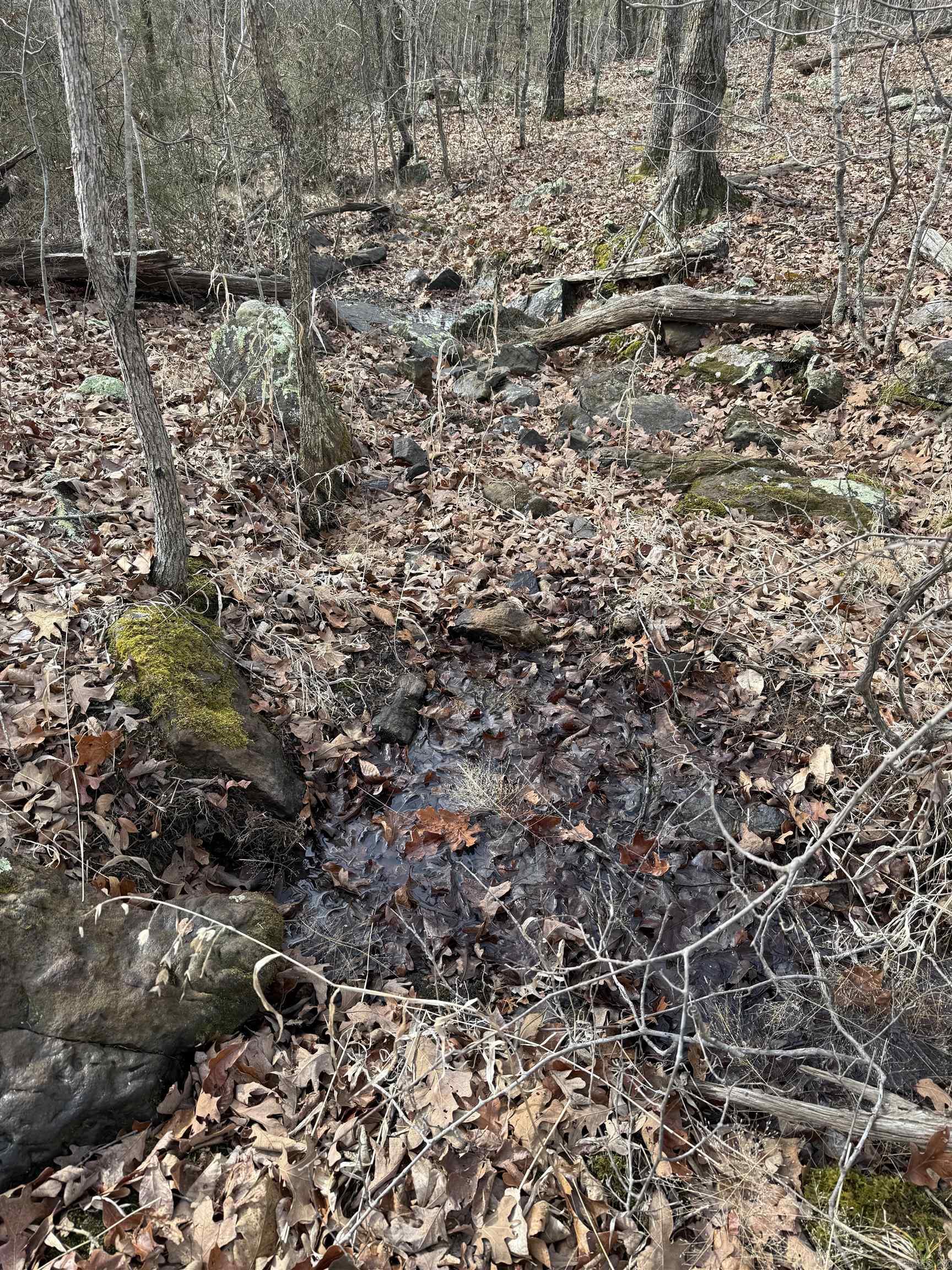 150 Blue Mountain  Alco, AR