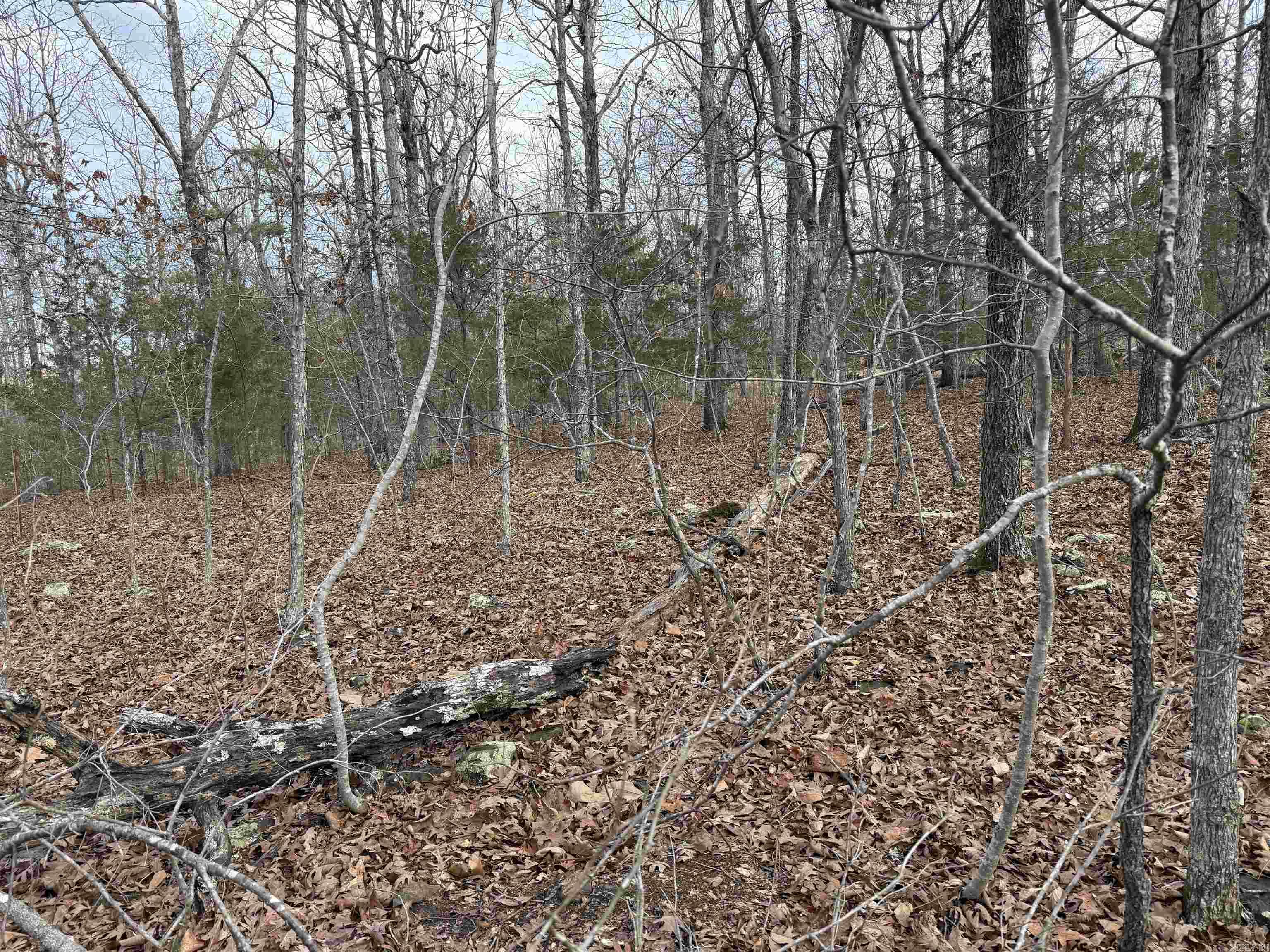 150 Blue Mountain  Alco, AR