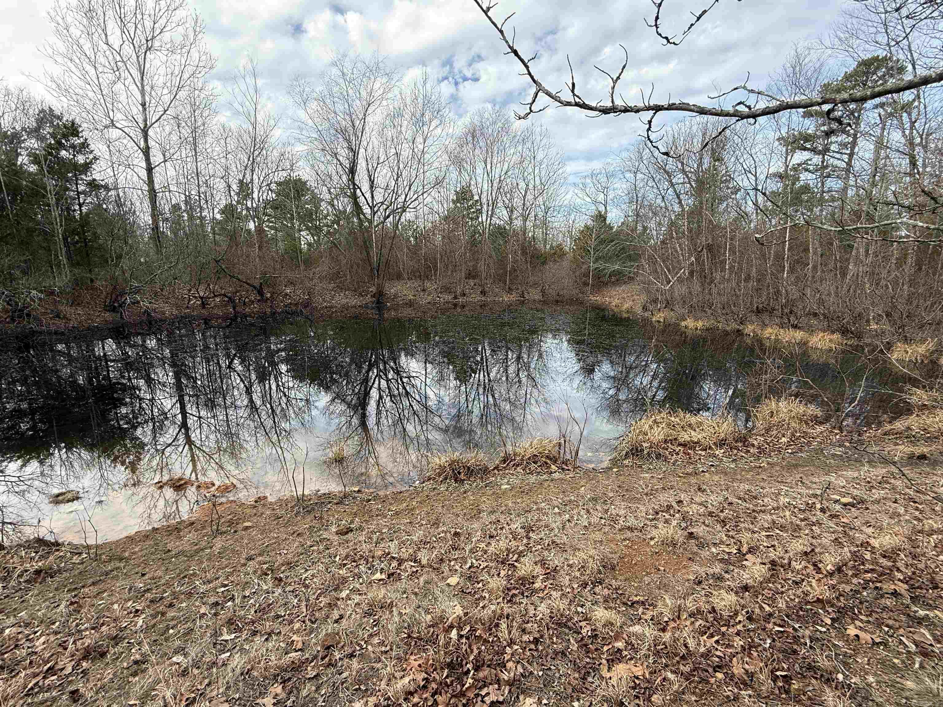 150 Blue Mountain  Alco, AR