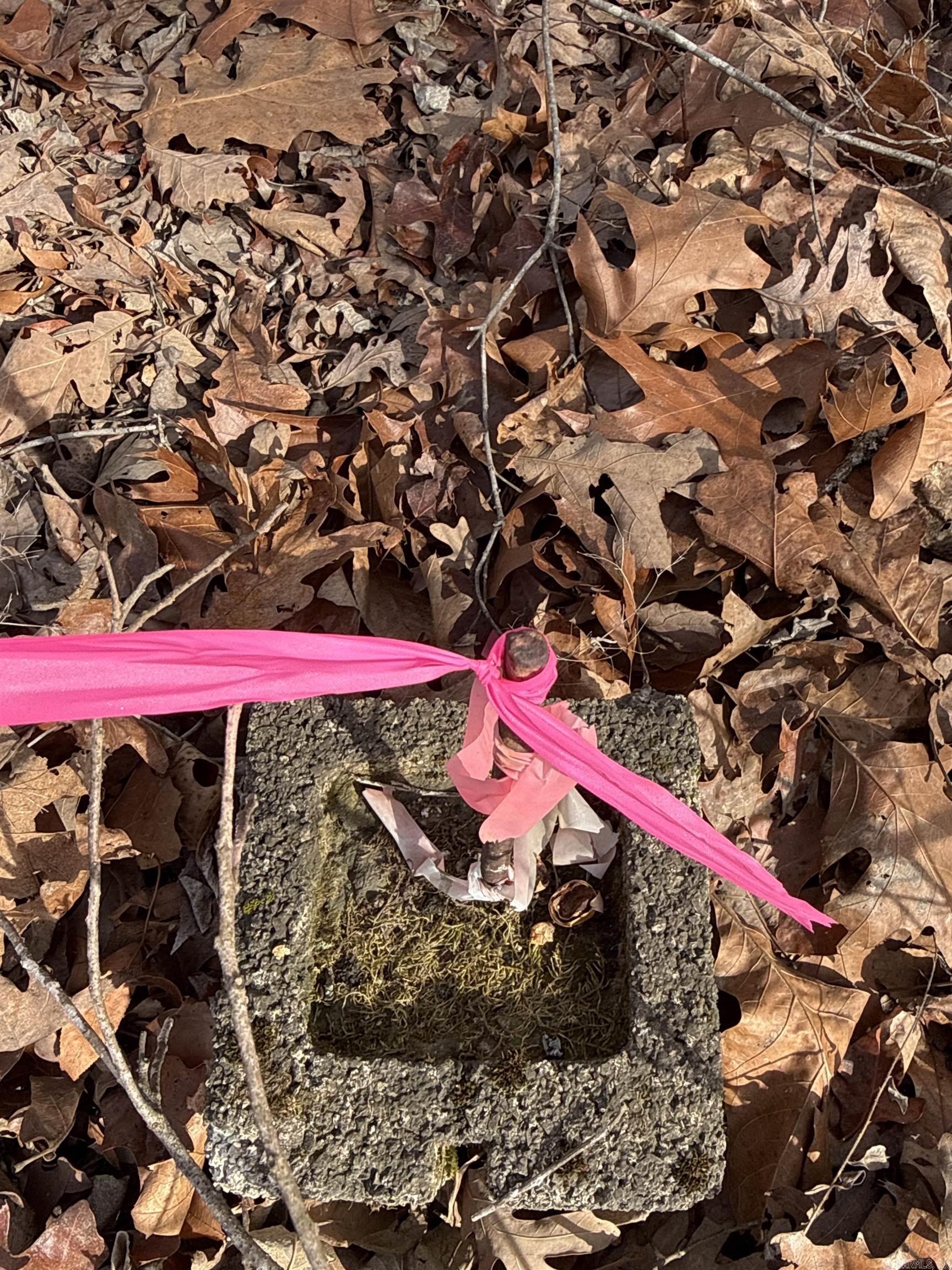 150 Blue Mountain  Alco, AR