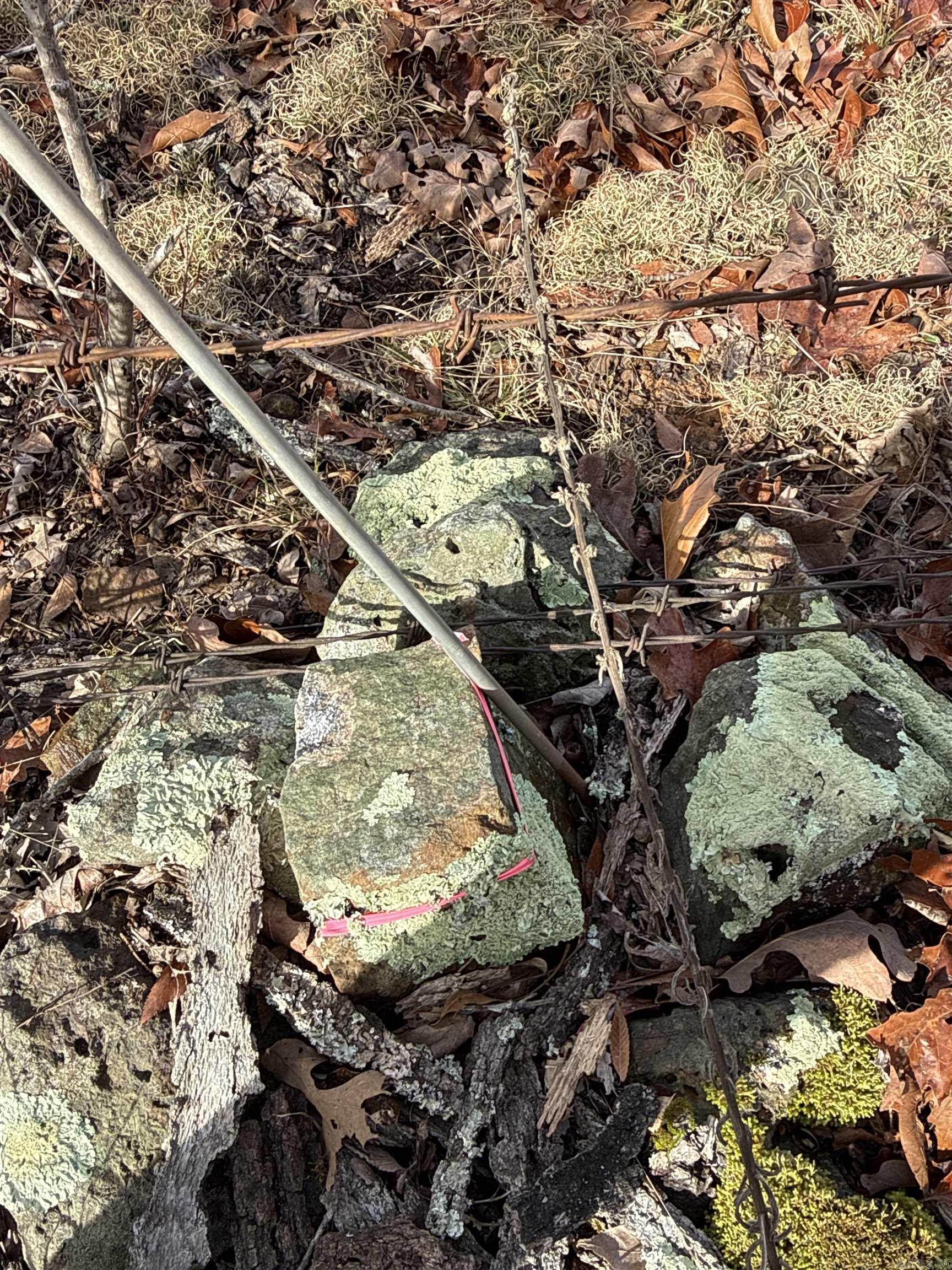 150 Blue Mountain  Alco, AR