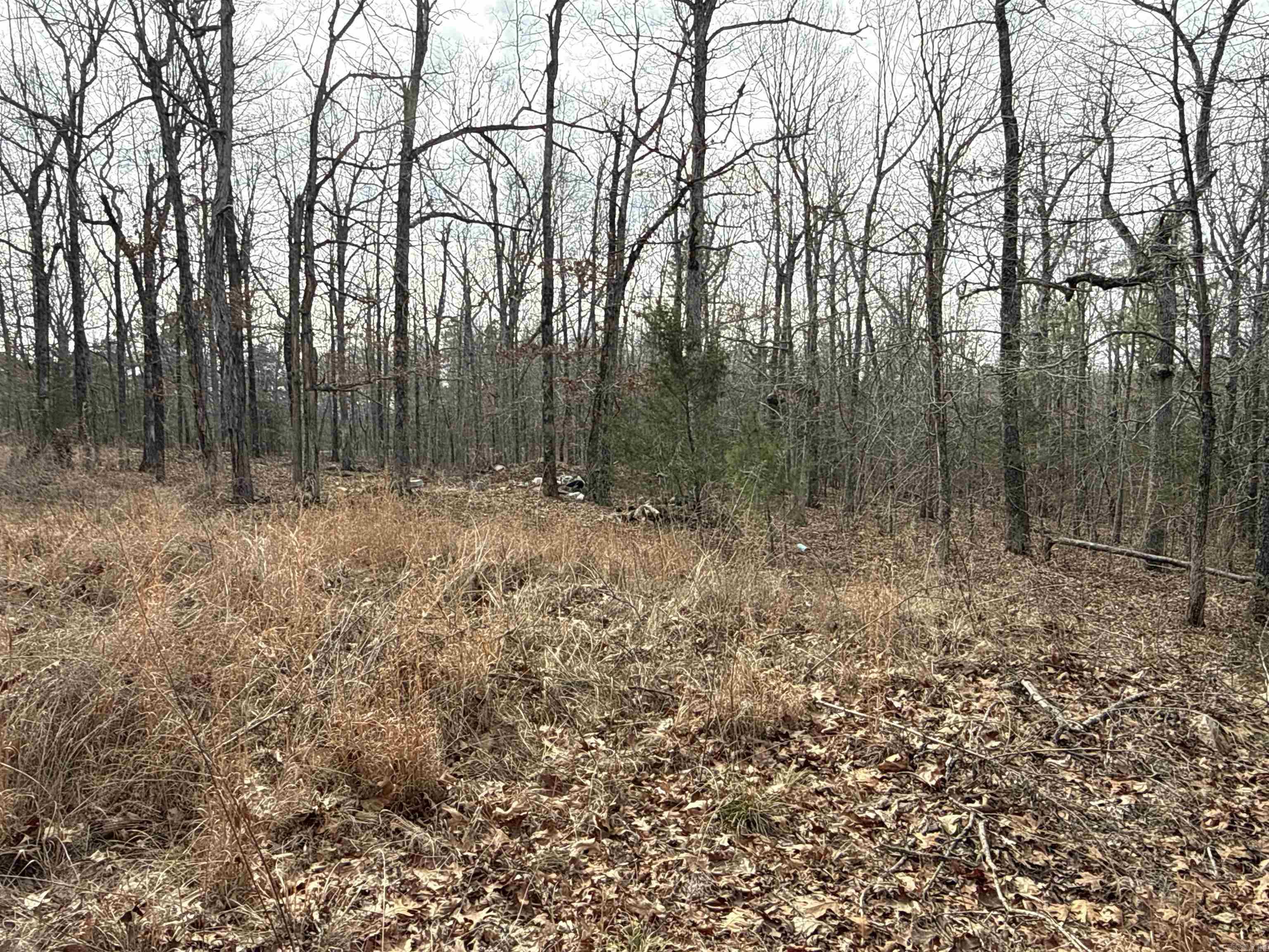 150 Blue Mountain  Alco, AR