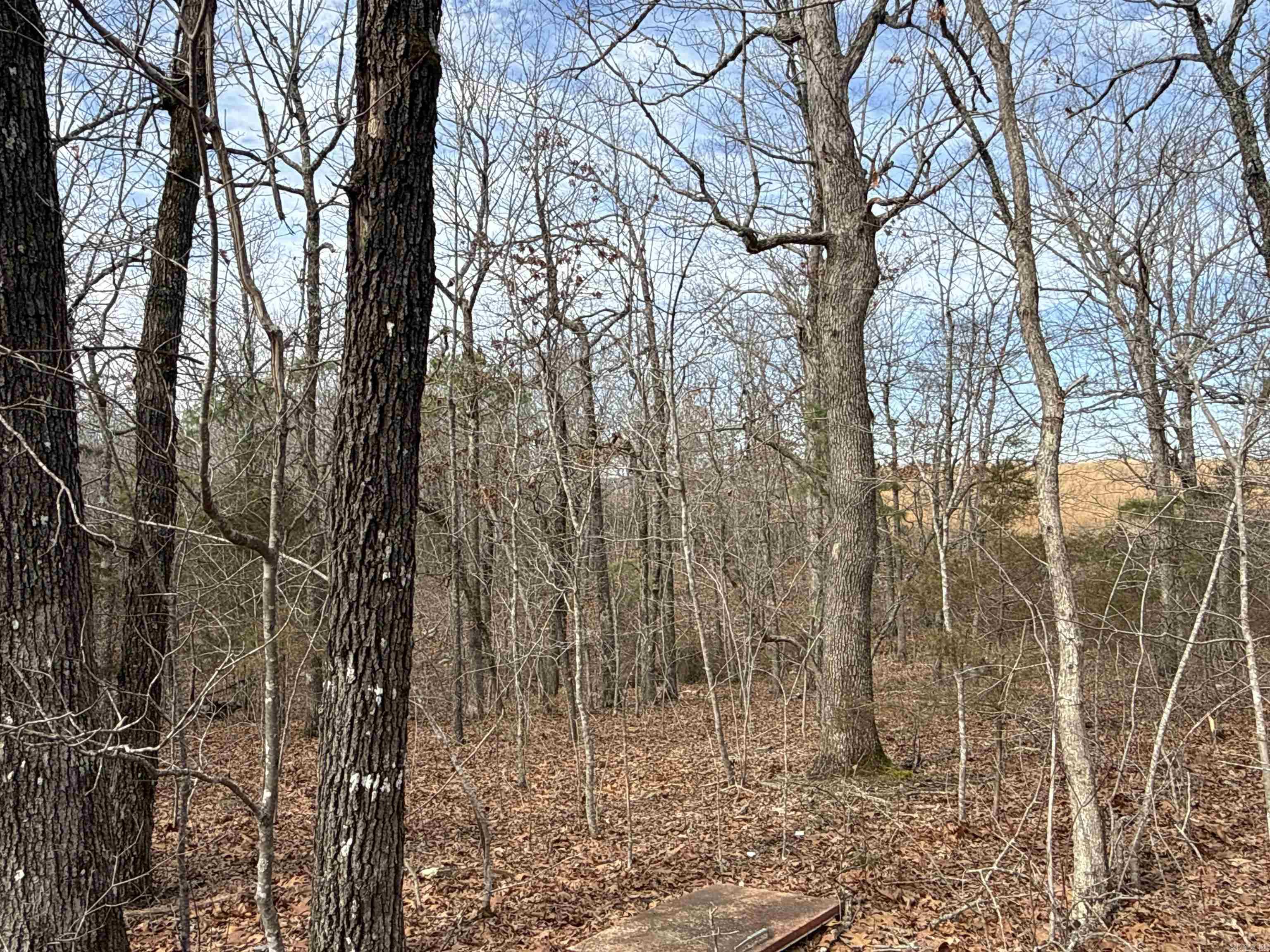 150 Blue Mountain  Alco, AR