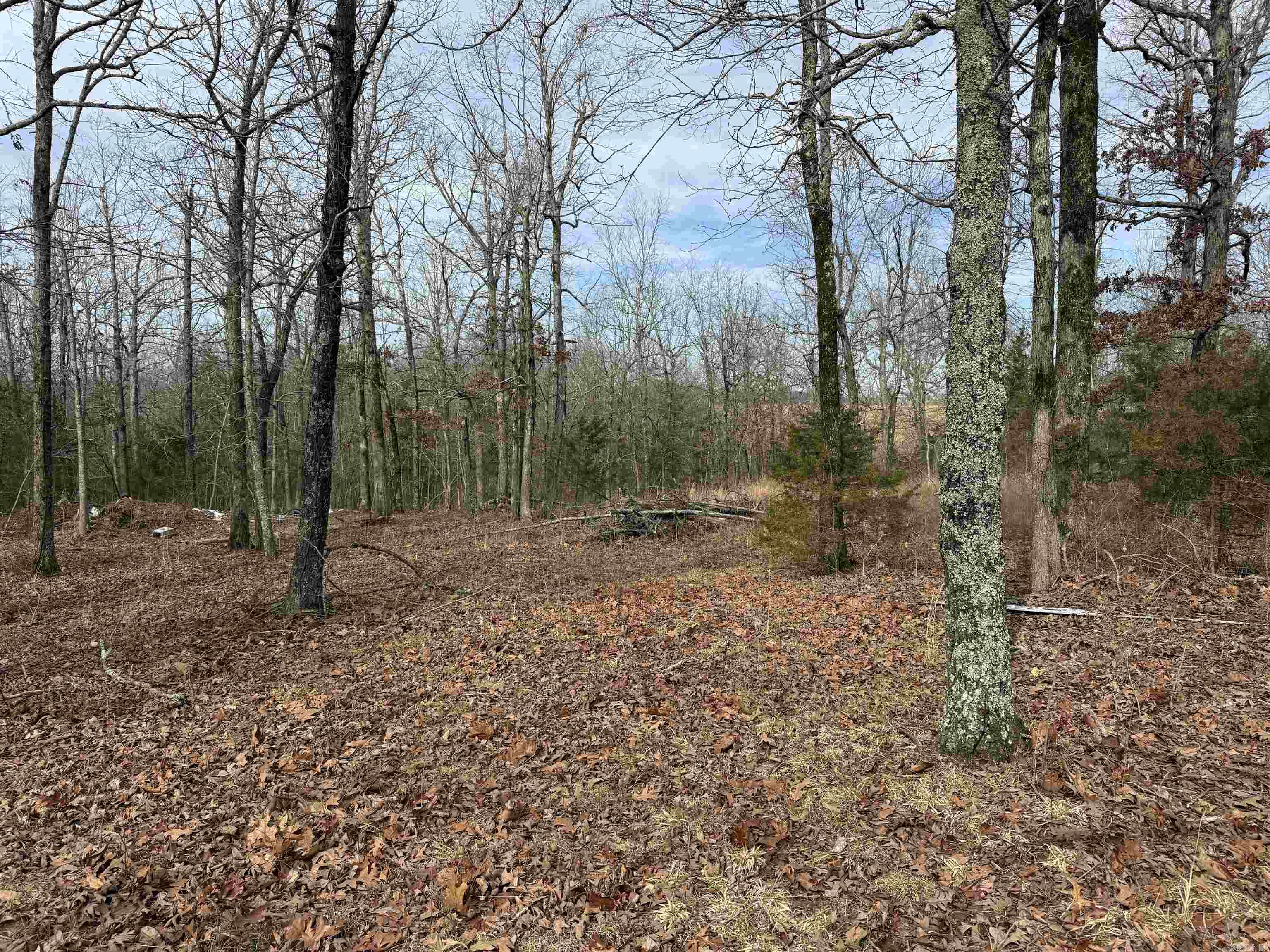 150 Blue Mountain  Alco, AR